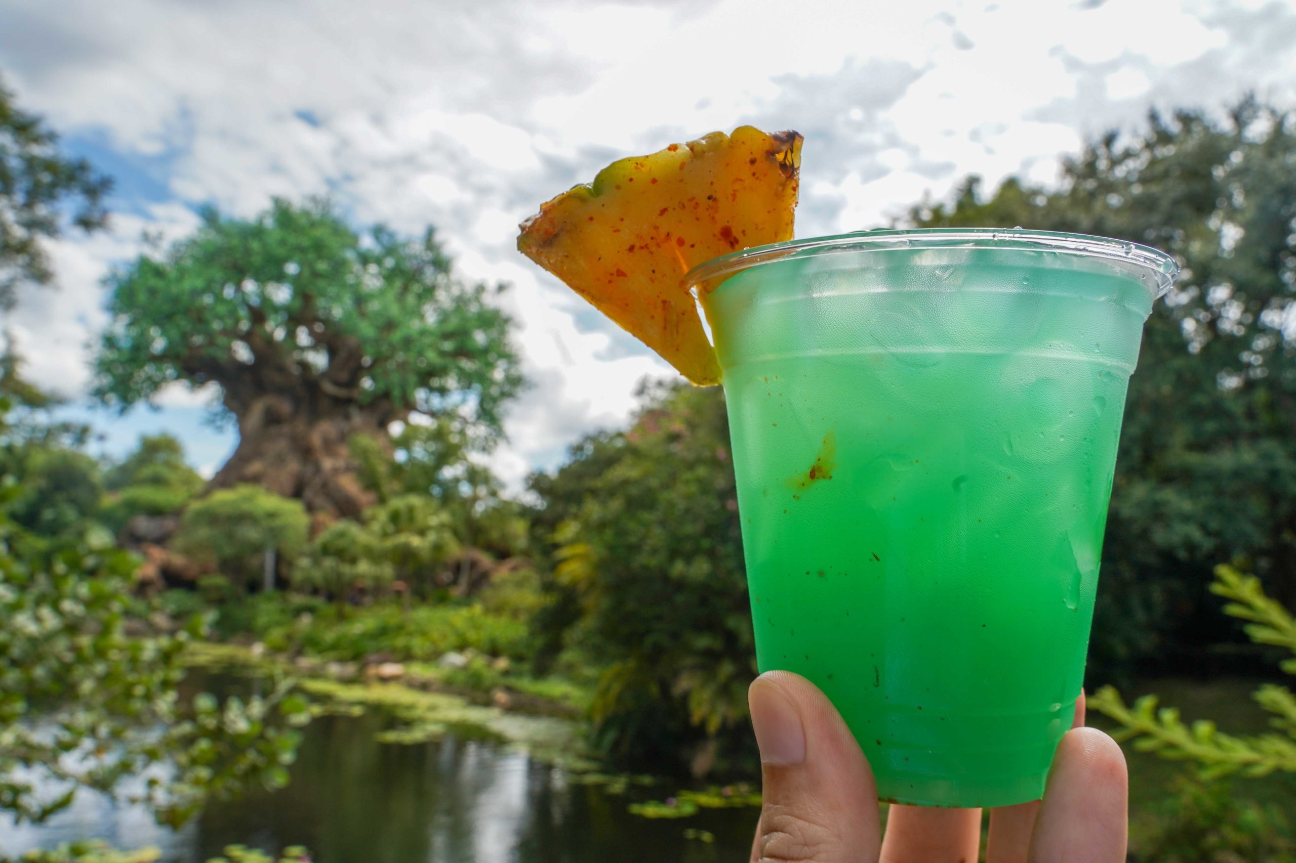 firefly-margarita-50th-dawa-bar-1-3503038