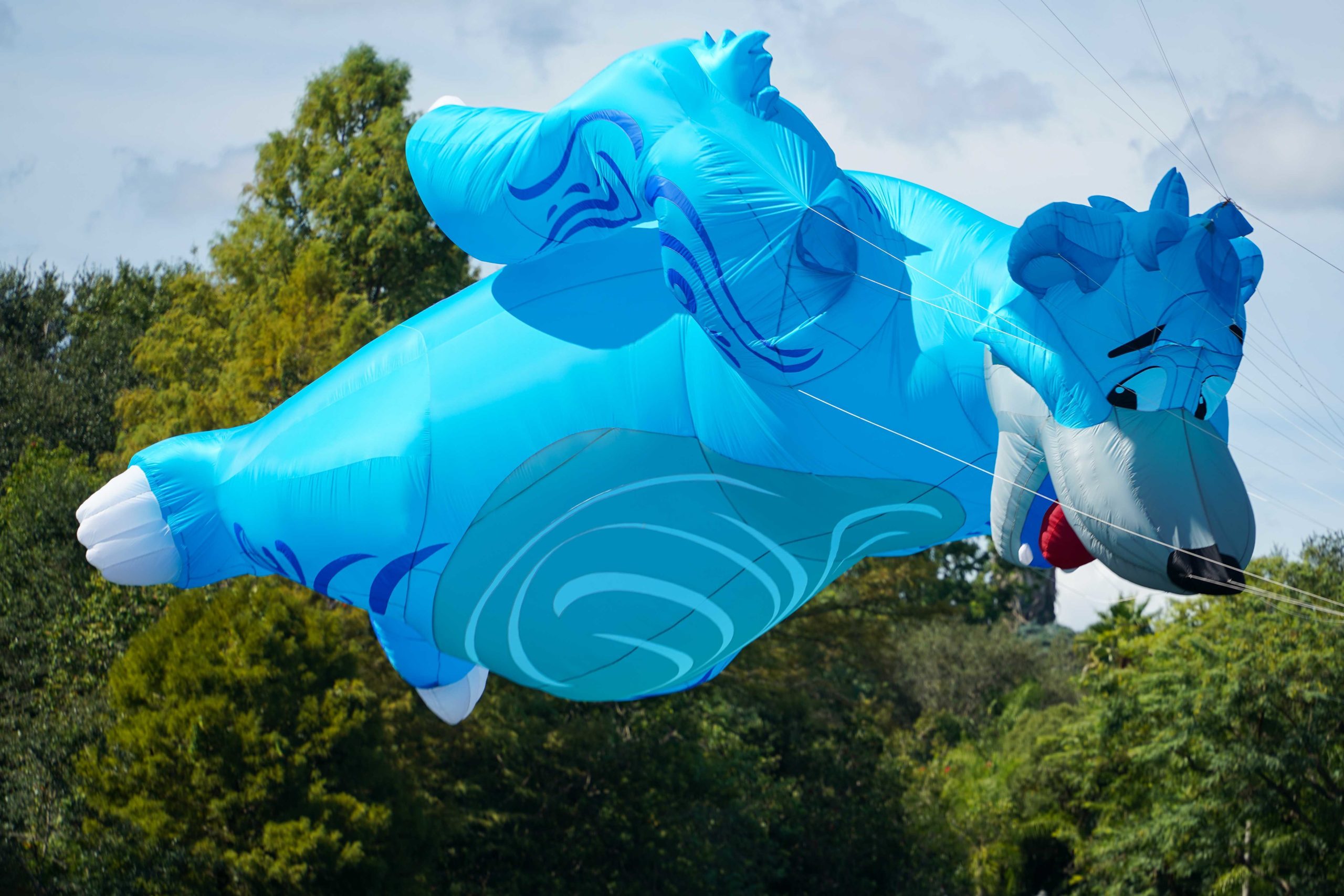 kitetails-5-5461101