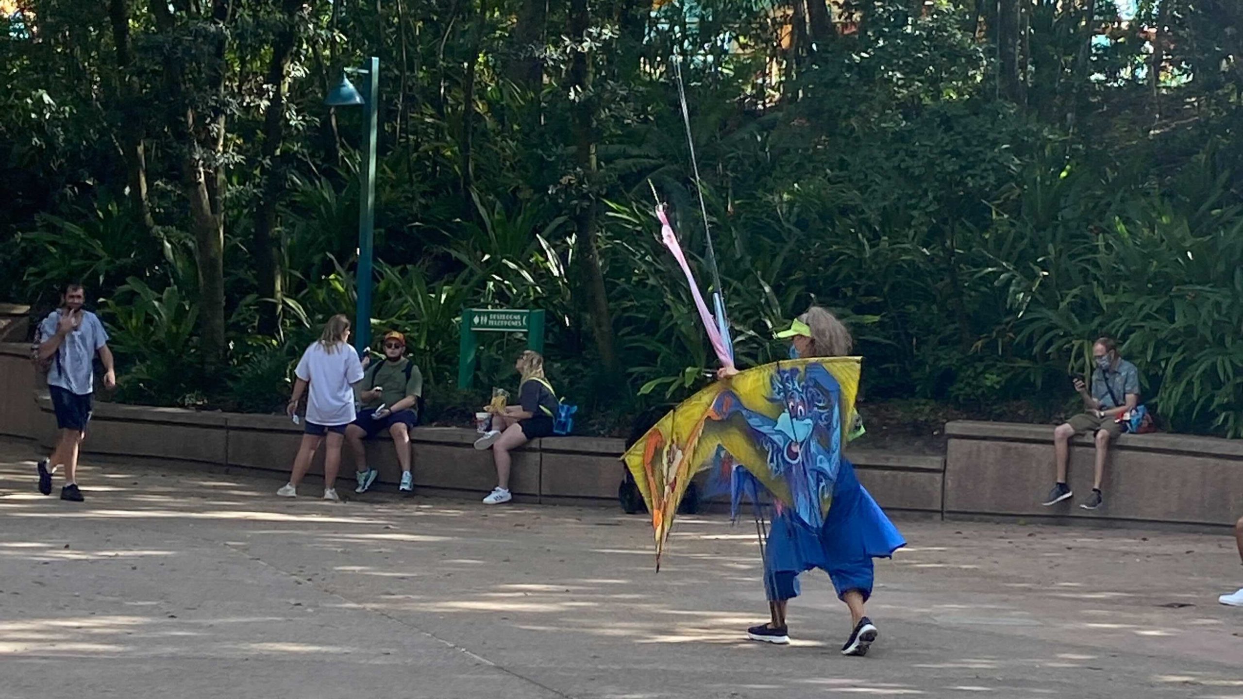 kitetails-canceled-8328248