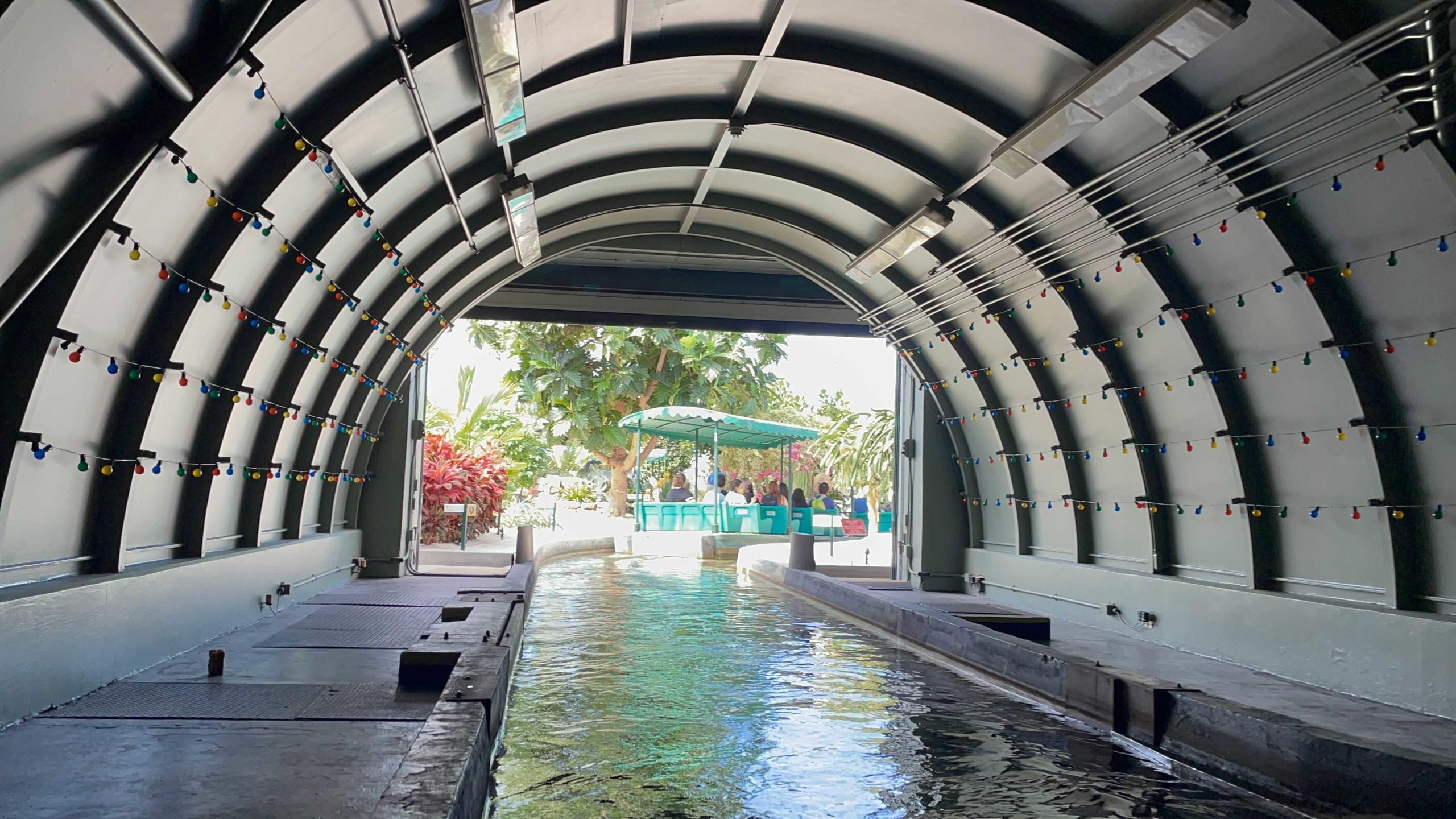 living-with-the-land-merry-and-bright-nights-3-4698881