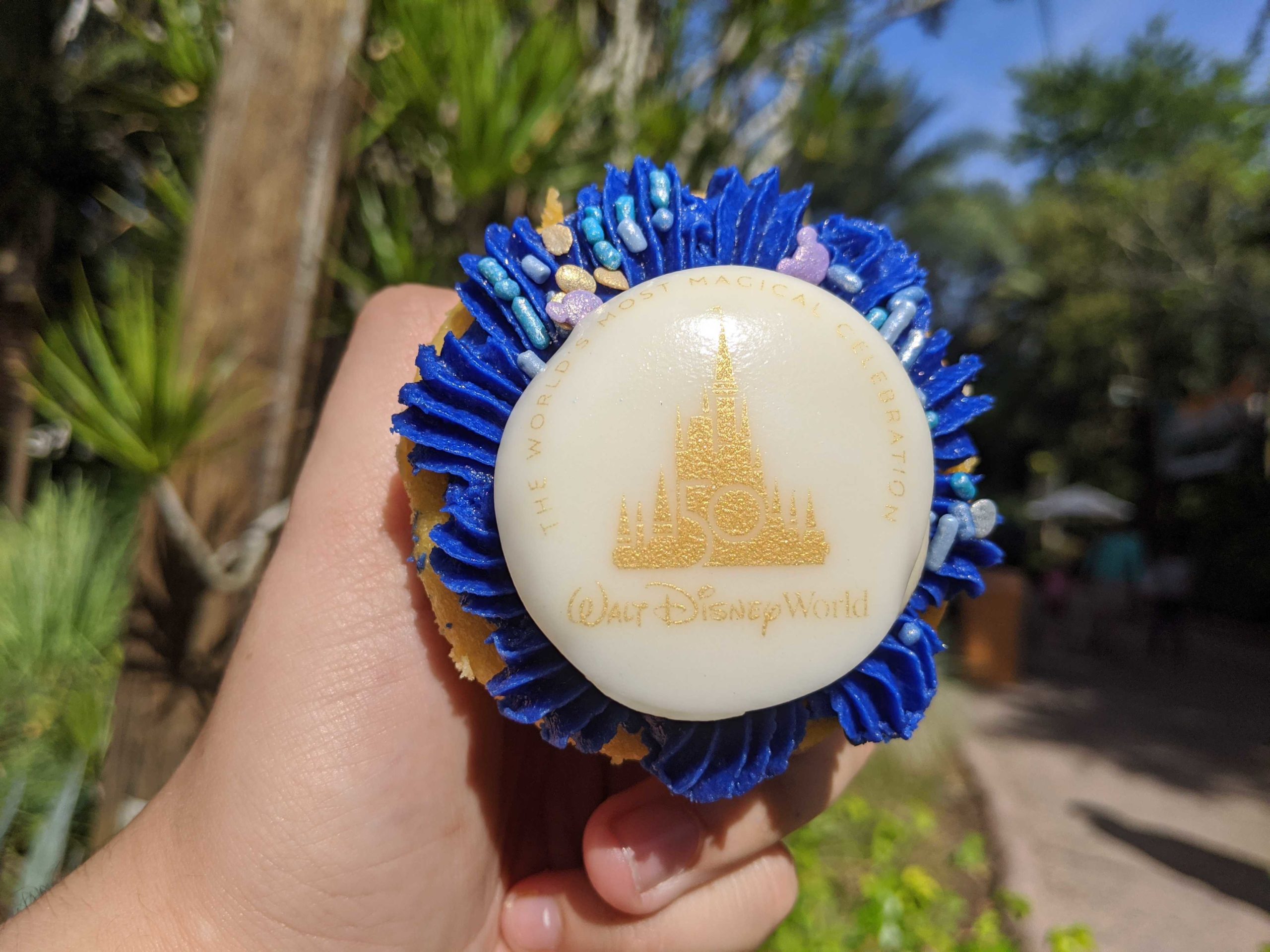 mvimg_20211001_102402