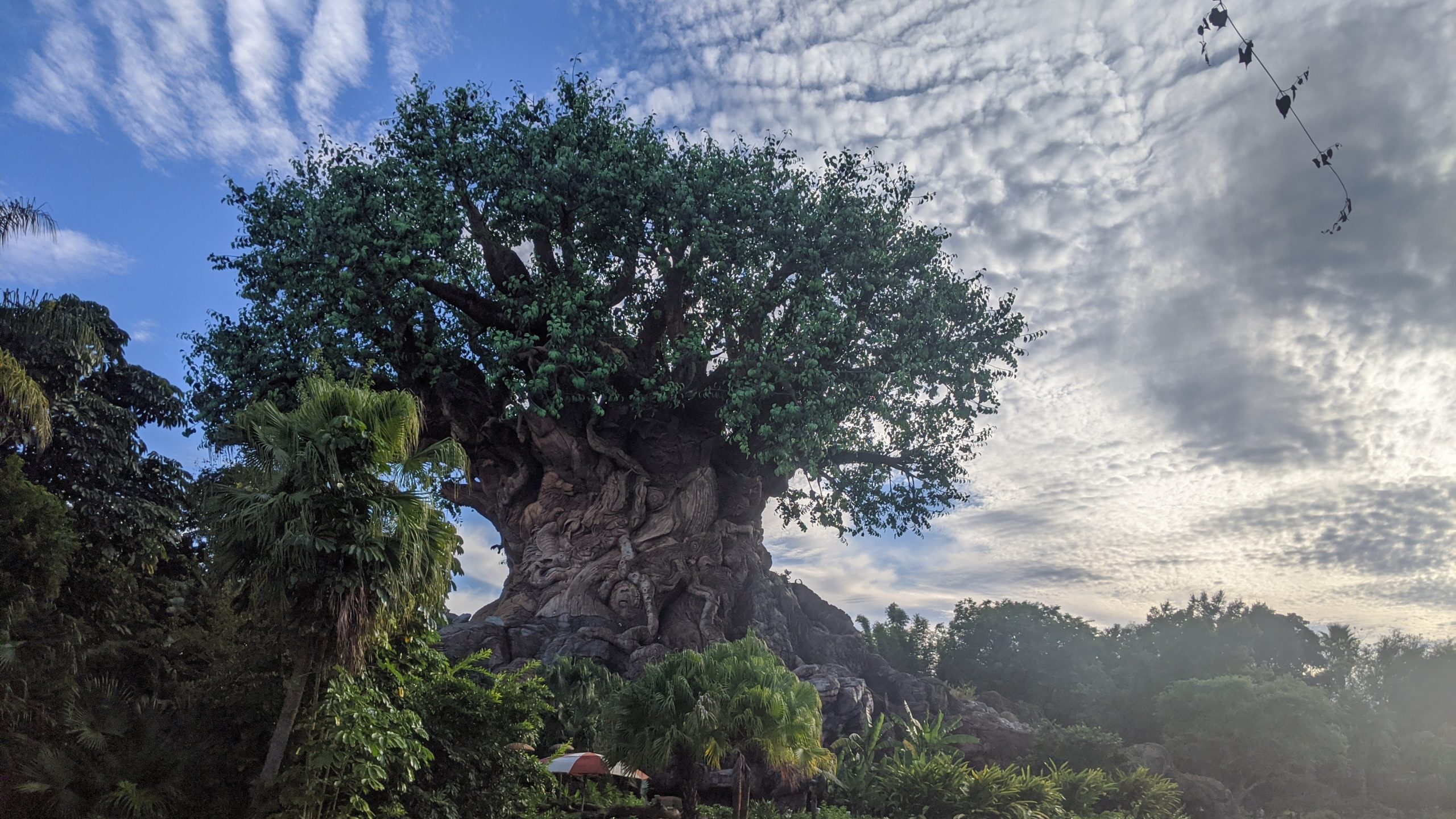 mvimg_20211001_180118_2