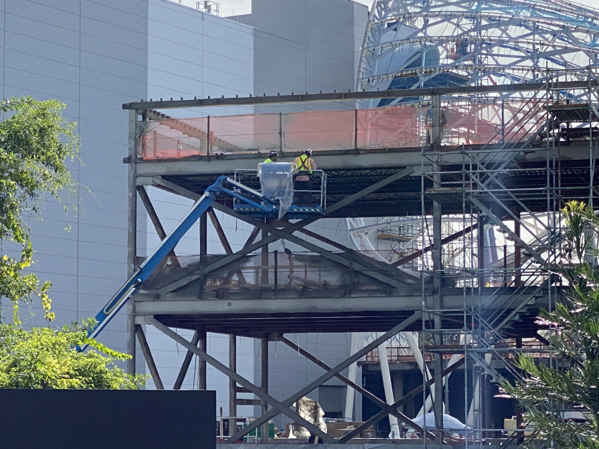 magic-kingdom-photo-report-10-25-2120