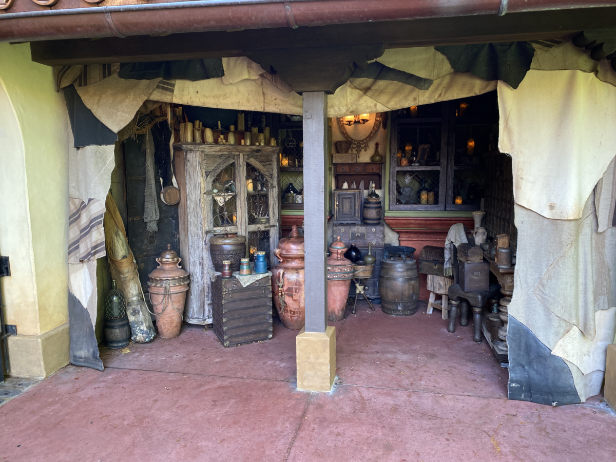 magic-kingdom-photo-report-10-27-2115