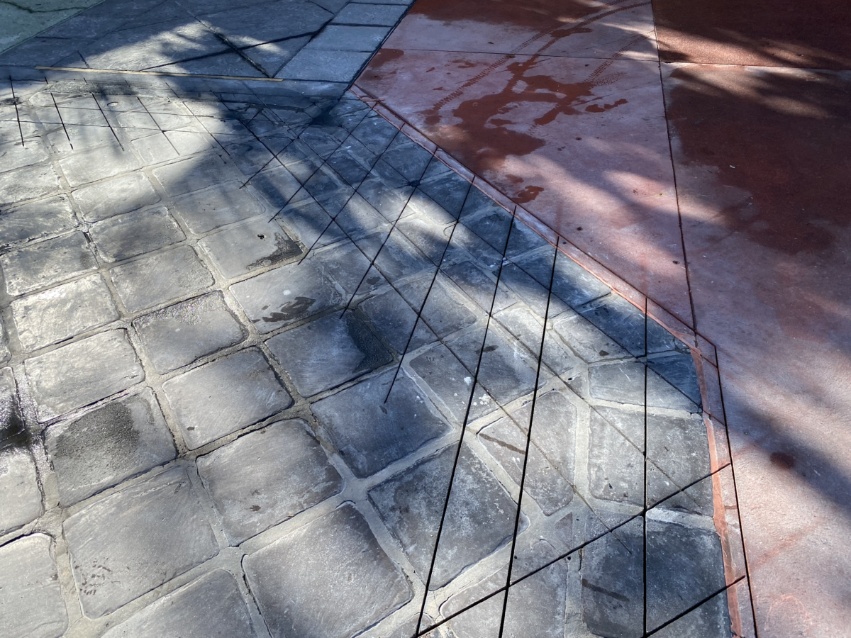 magic-kingdom-photo-report-10-27-2117