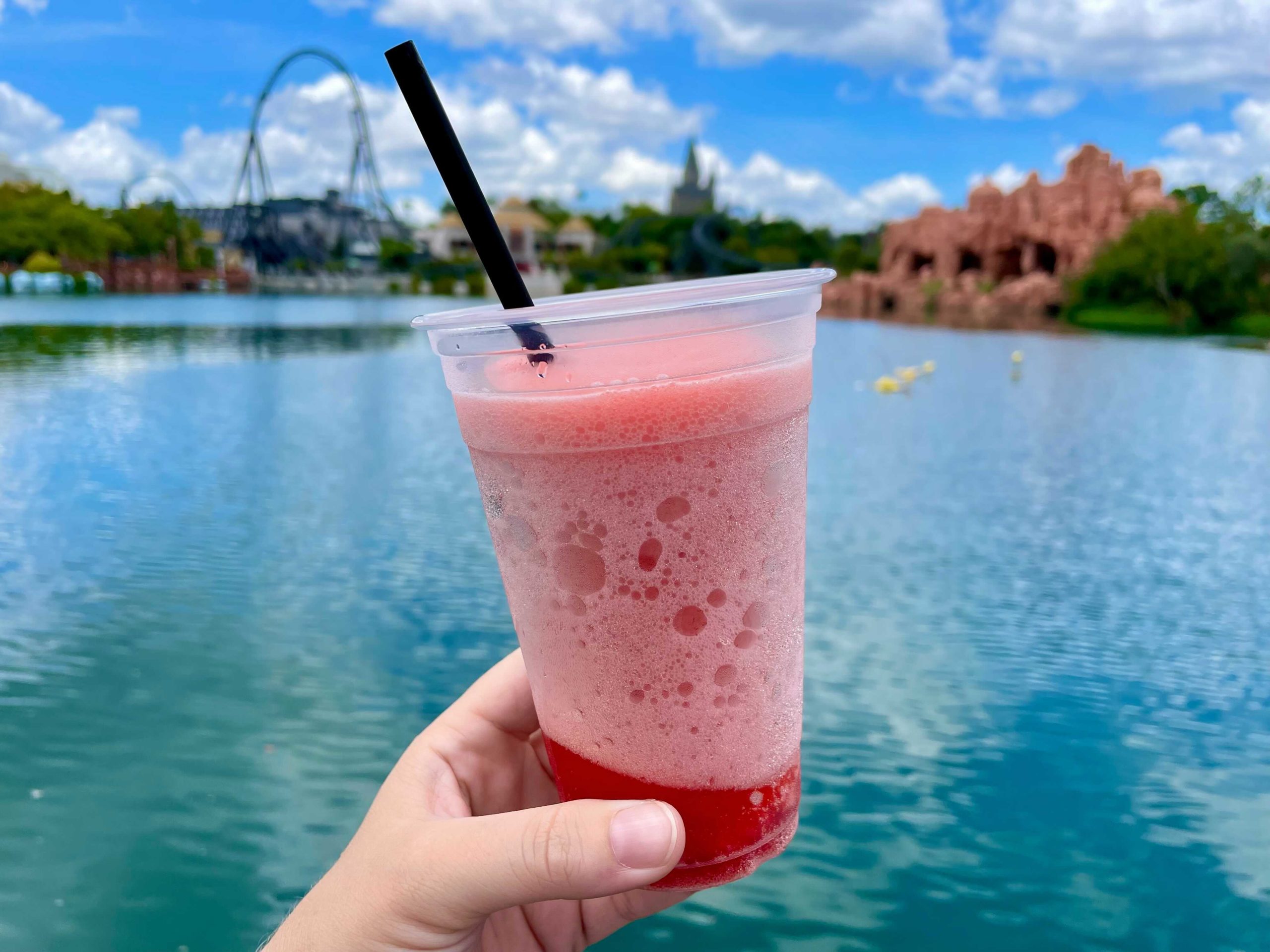 universal-islands-of-adventure-frozen-rose-review-marvel-4-2533599