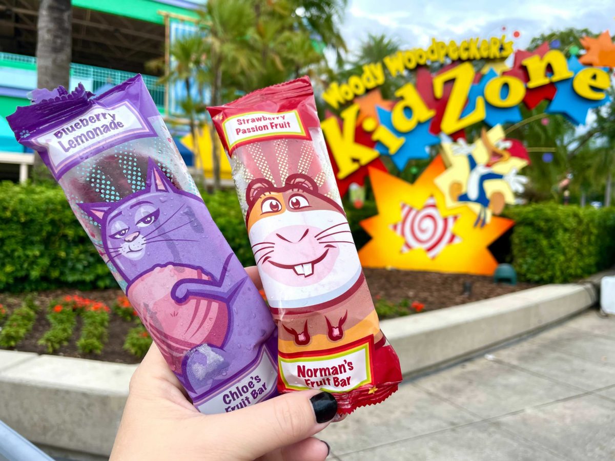 universal-kidzone-fruit-bars-secret-life-of-pets-review-uor-16-6047370