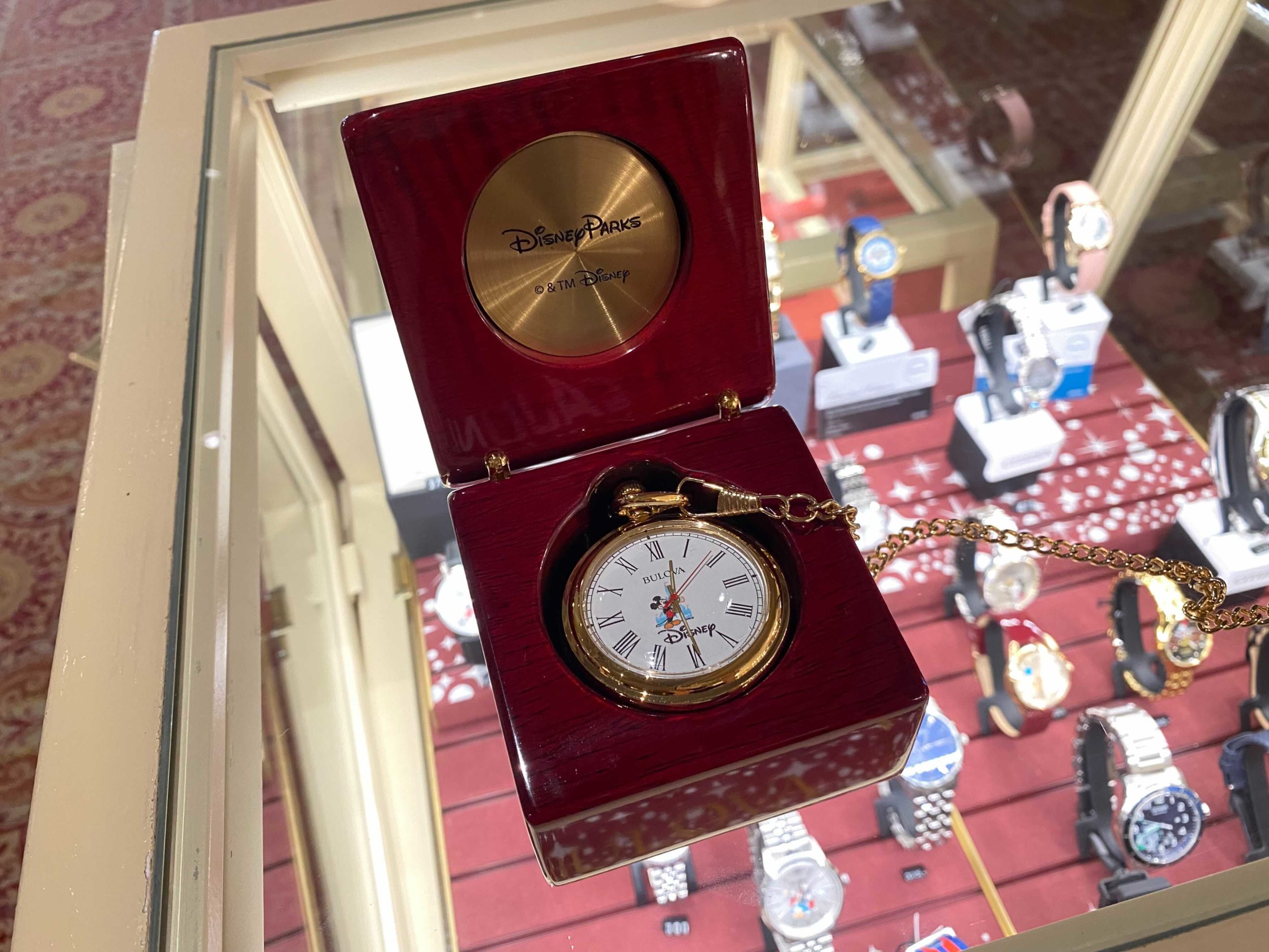 wdw50thbulovapocketwatch_1