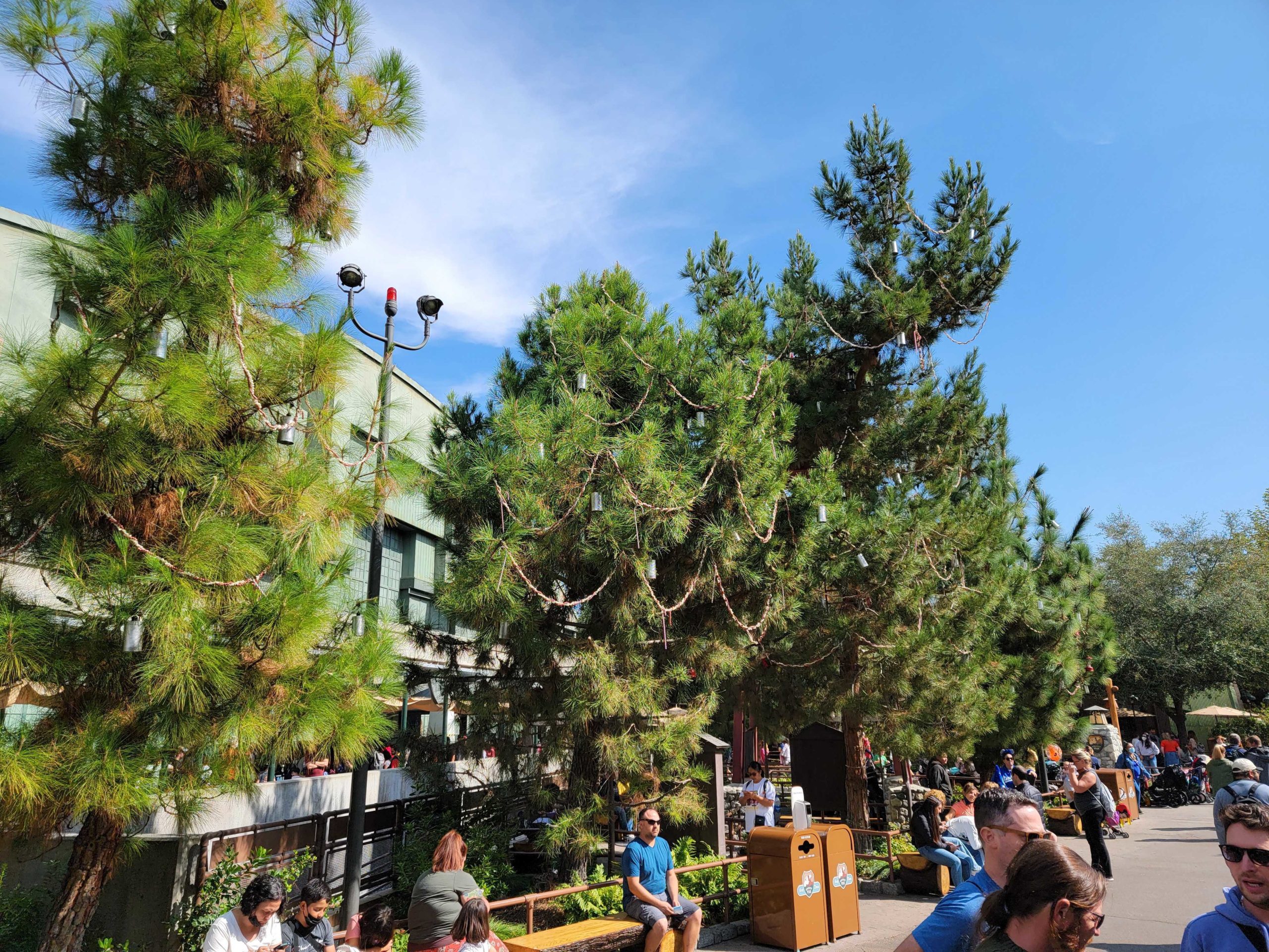 christmas-deco-at-grizzly-peak-dl122355-1694244