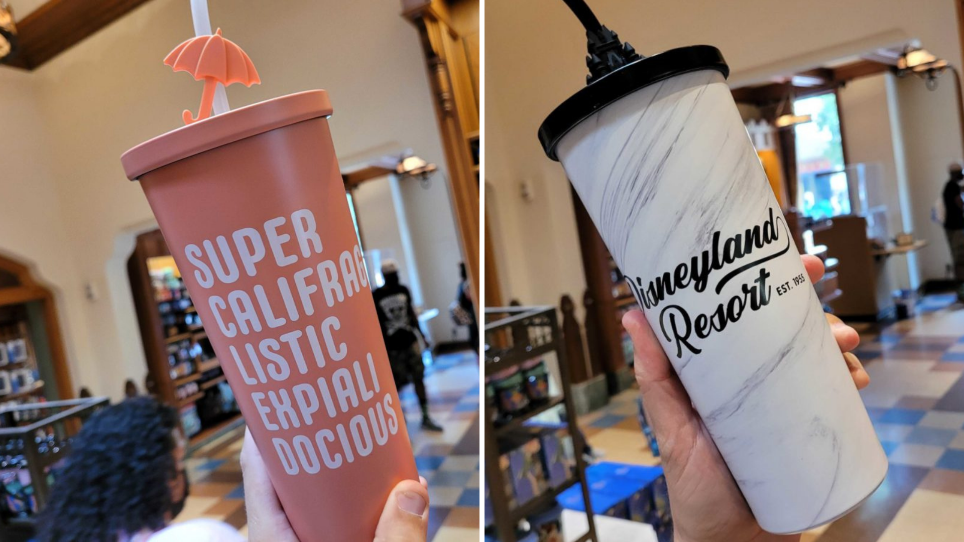 disneyland-tumblers-collage