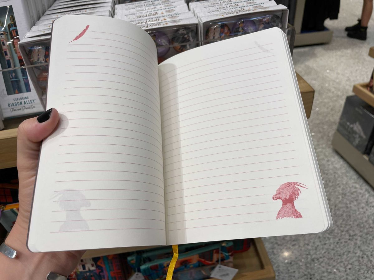fawkes-notebook-2-6953940