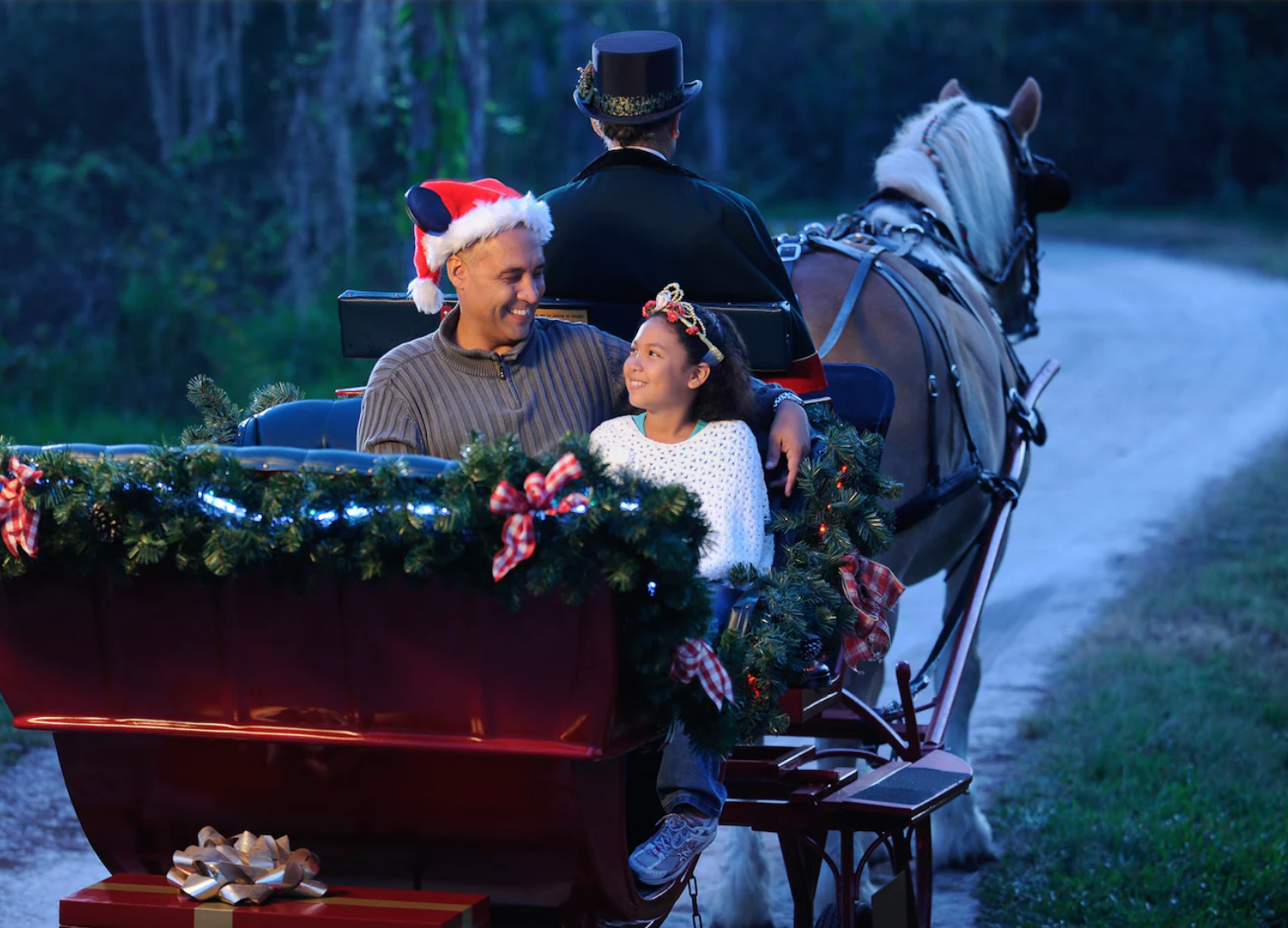 fort-wilderness-sleigh-ride-4891920