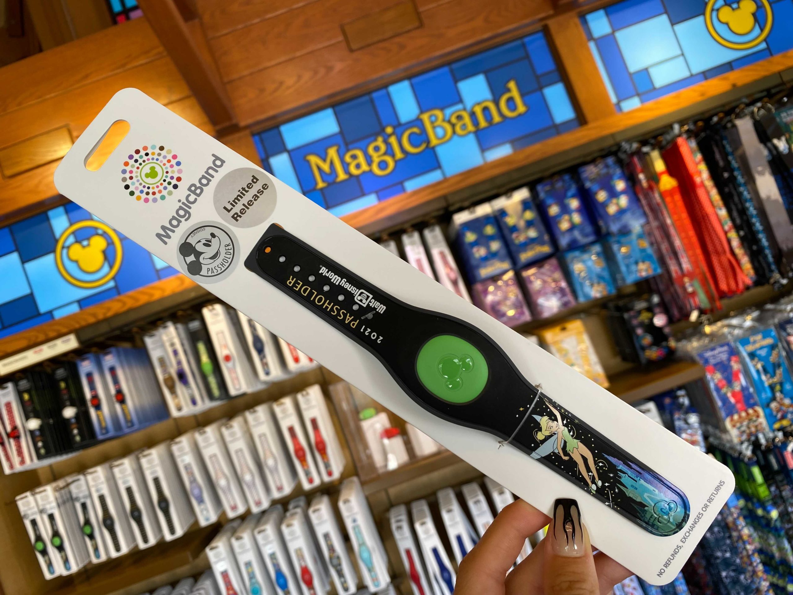 passholder-magicband-0-6672312