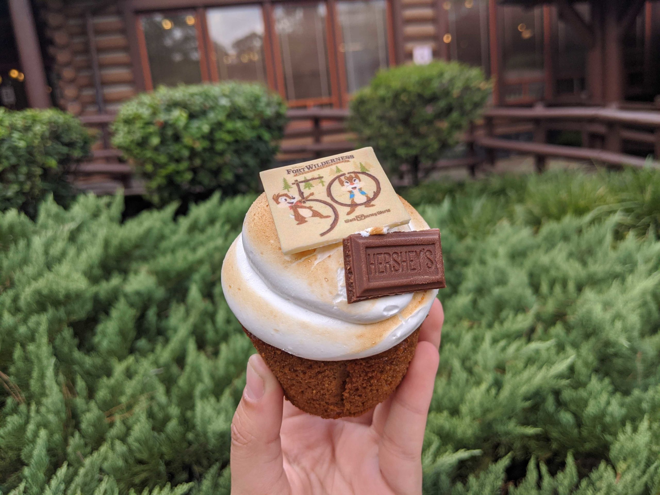 smores-cupcake-145840-2758705