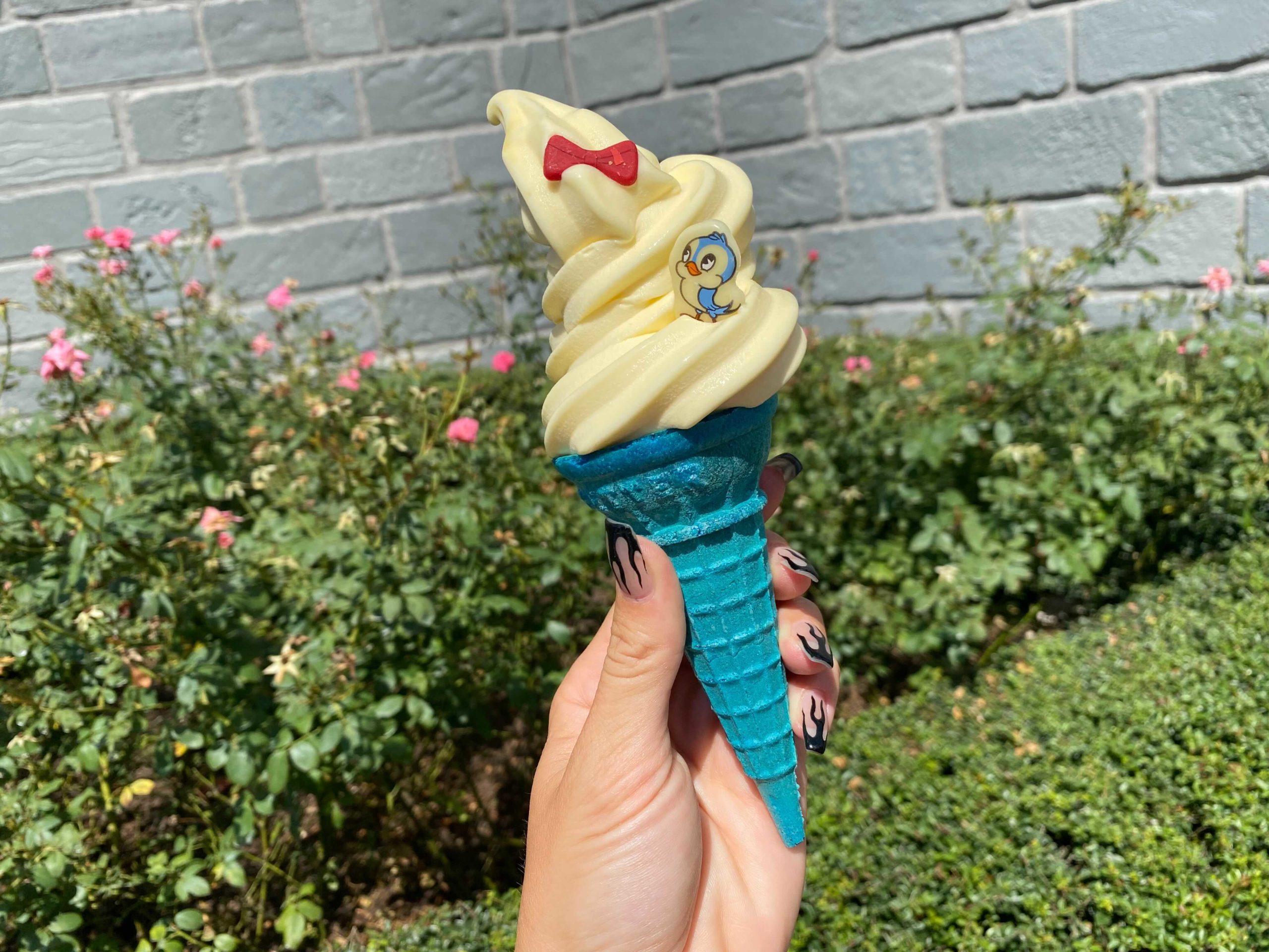 snow-white-cone-5-9699093