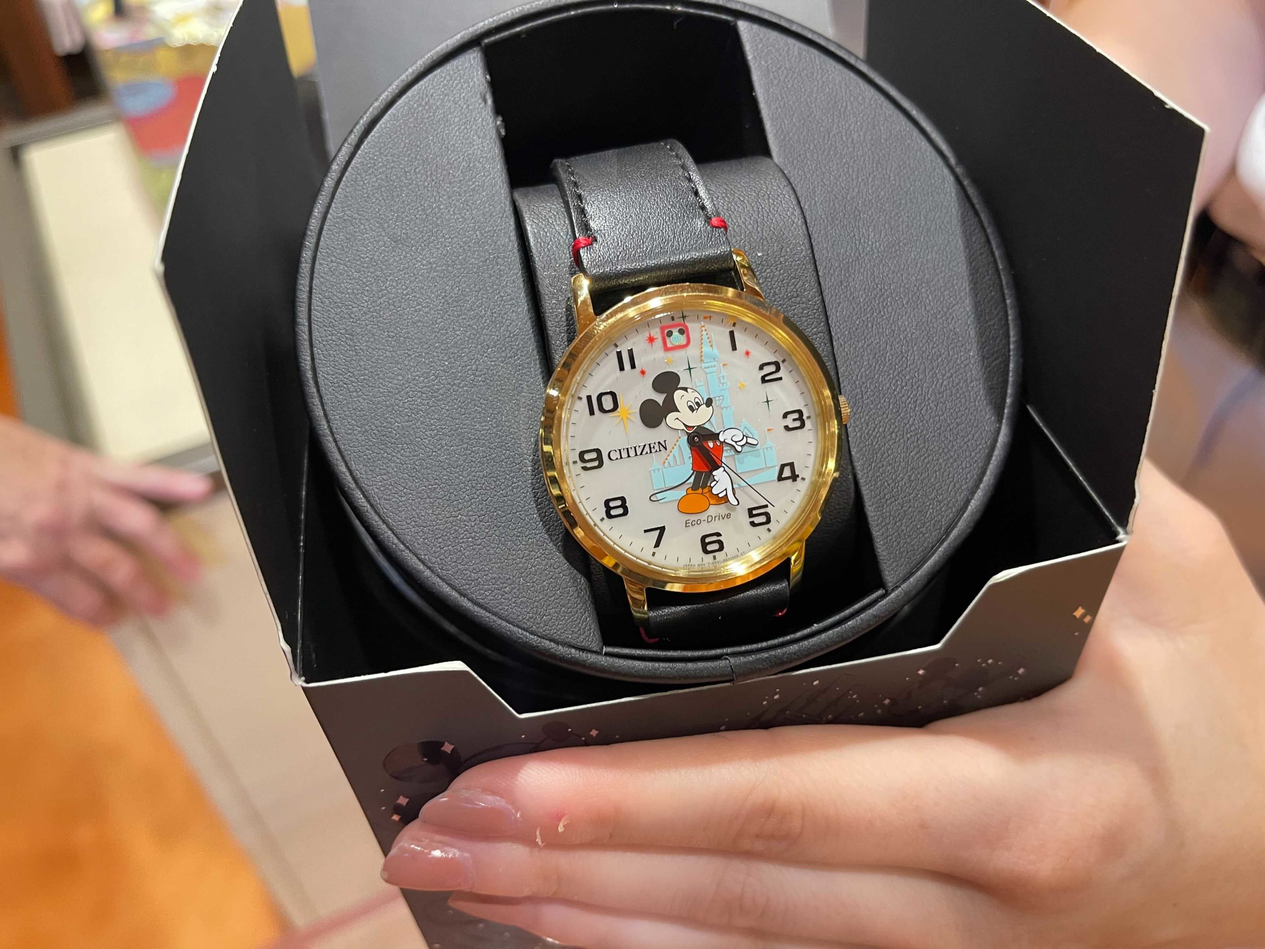 vault-collection-watch-5502508