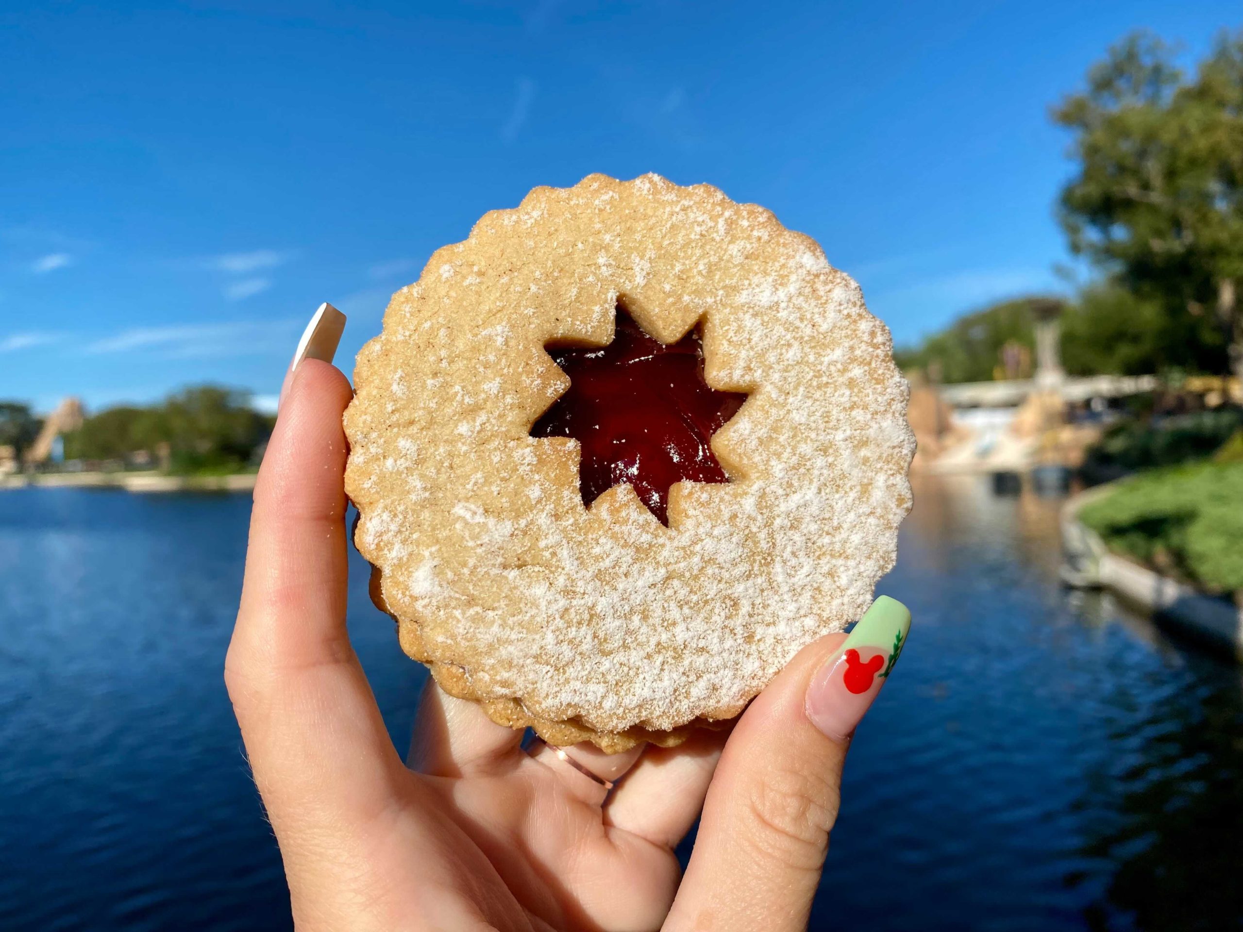 2021-festival-of-the-holidays-linzer-cookie-4-5675211