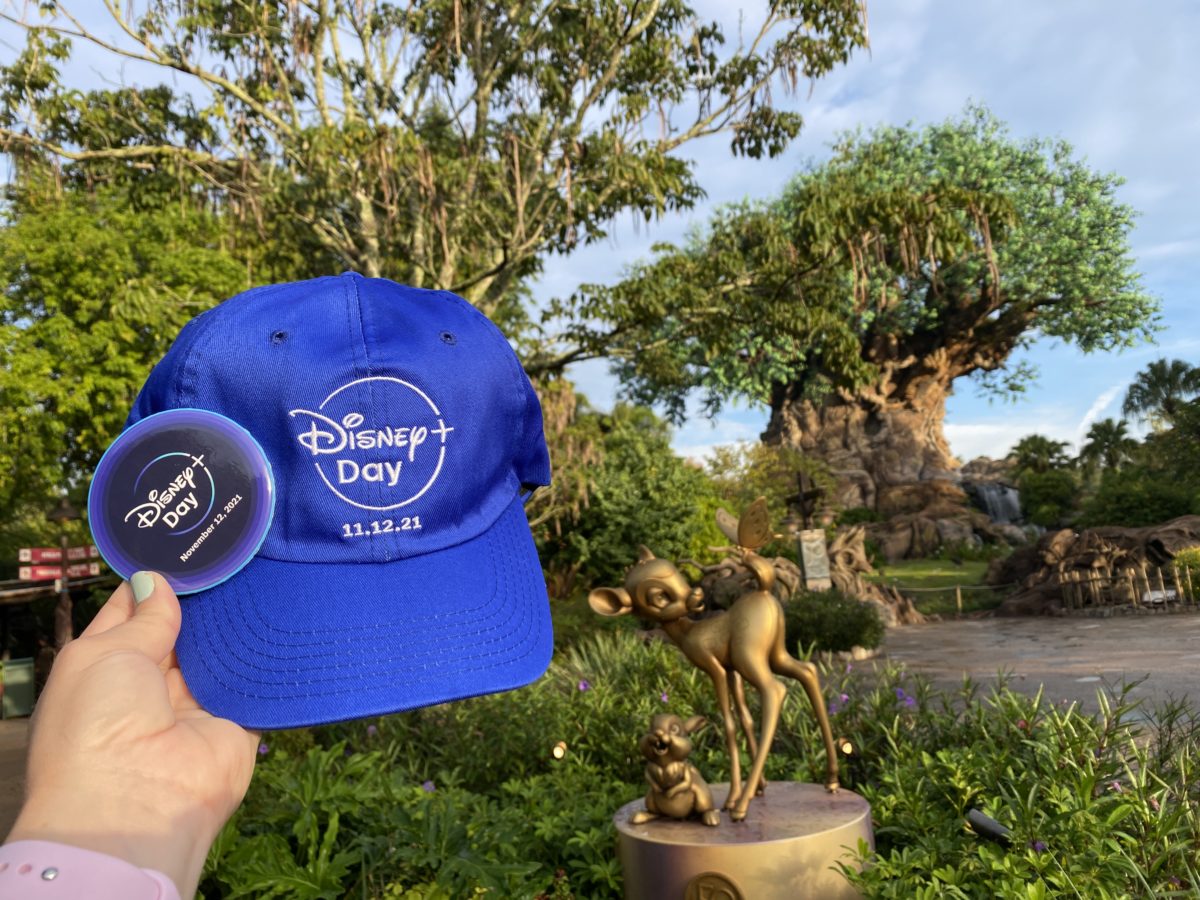 disney+ day animal kingdom