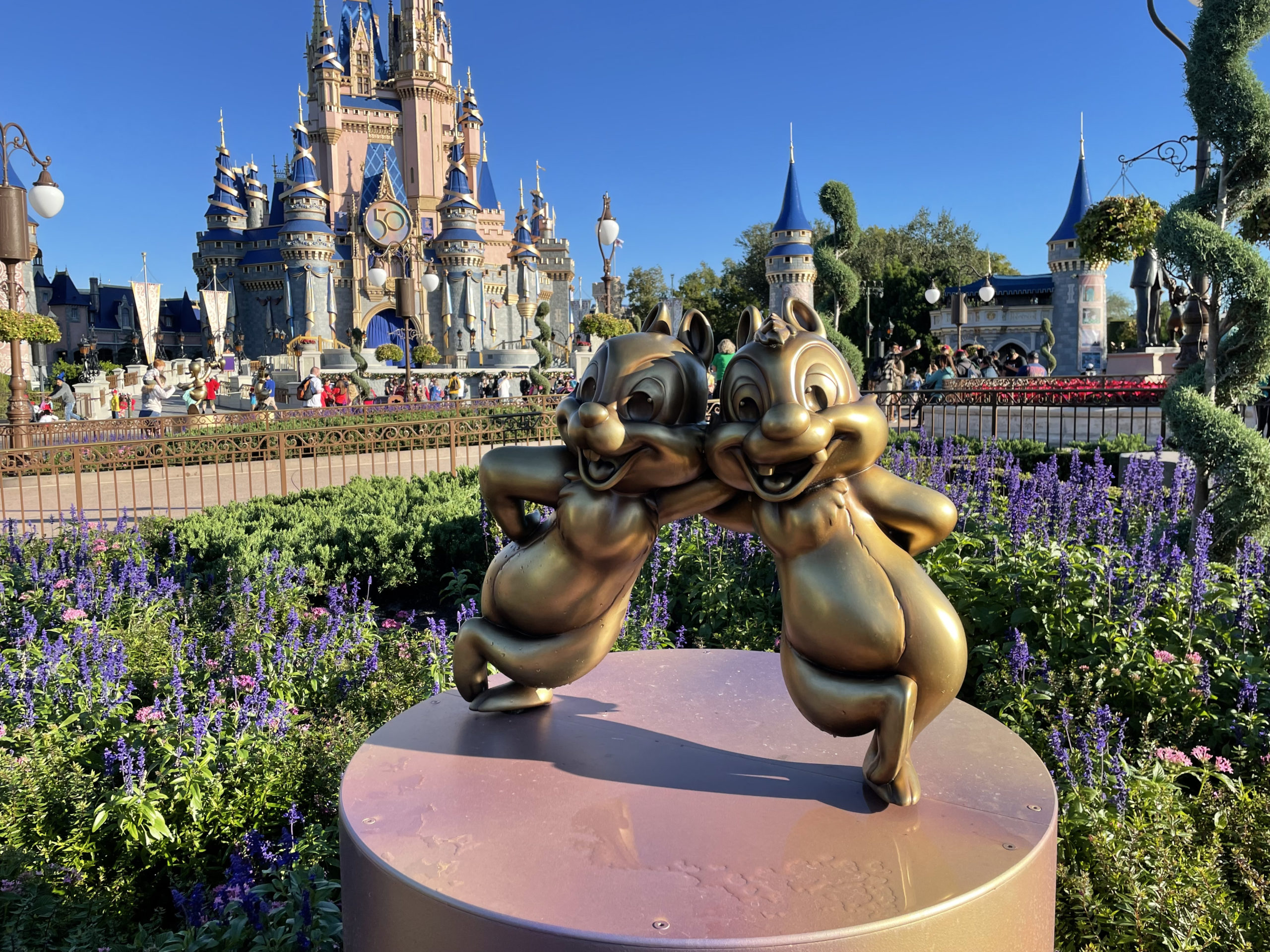 MK photo report 11/30/21 8