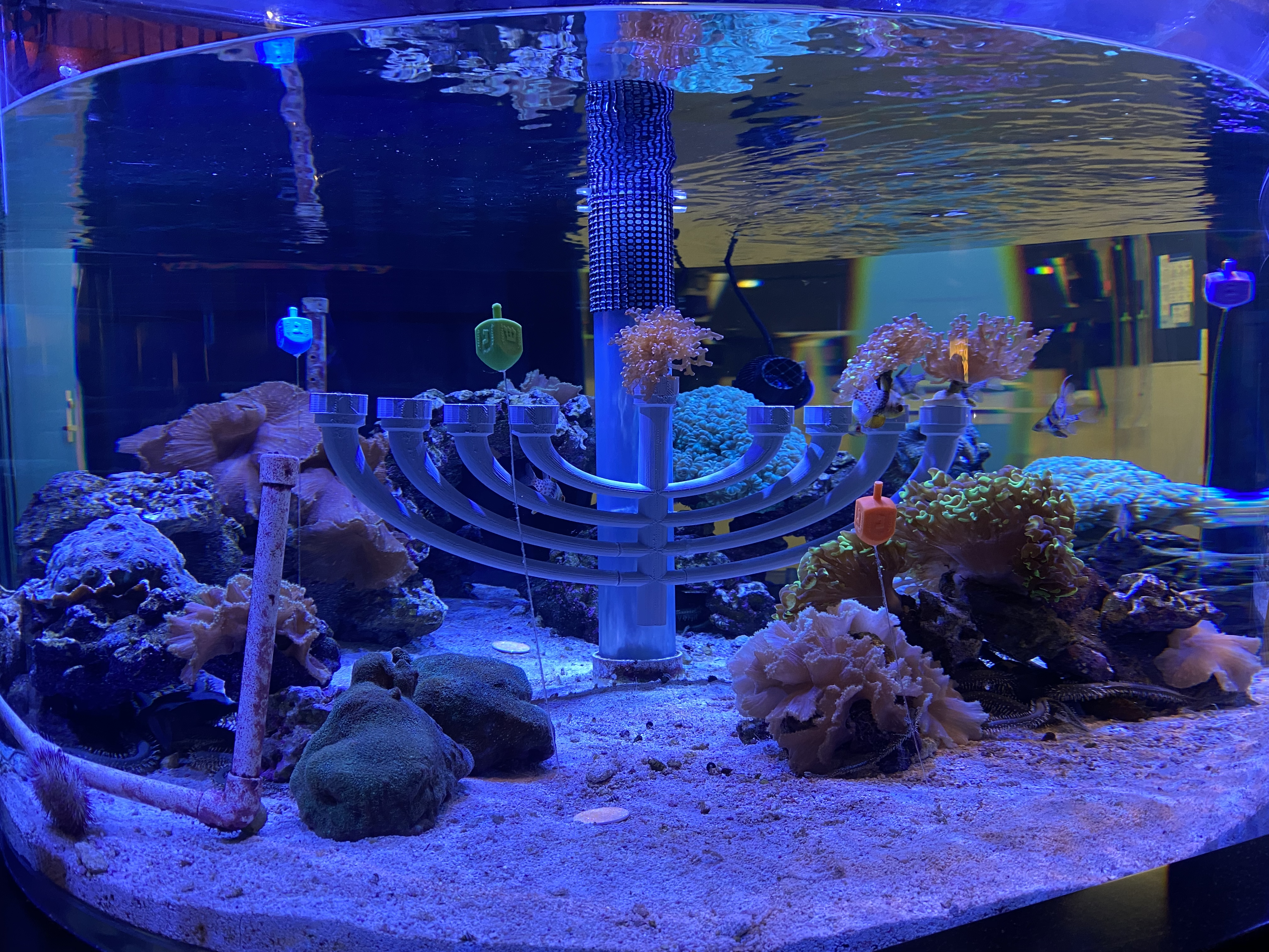 epcot-photo-report-11-30-21-9