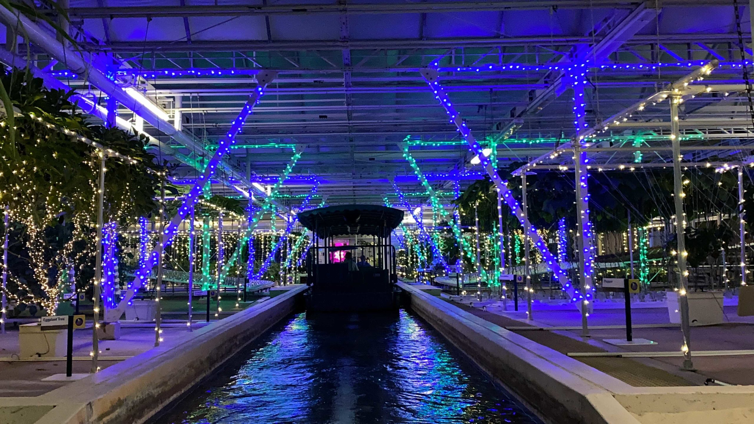 lwtl-merry-and-bright-nights-19-8221184