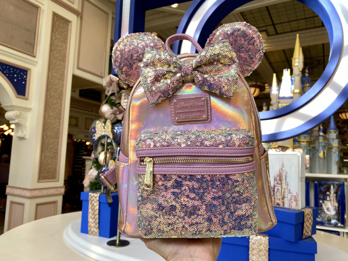 magic-kingdom-photo-report-11-10-21-1