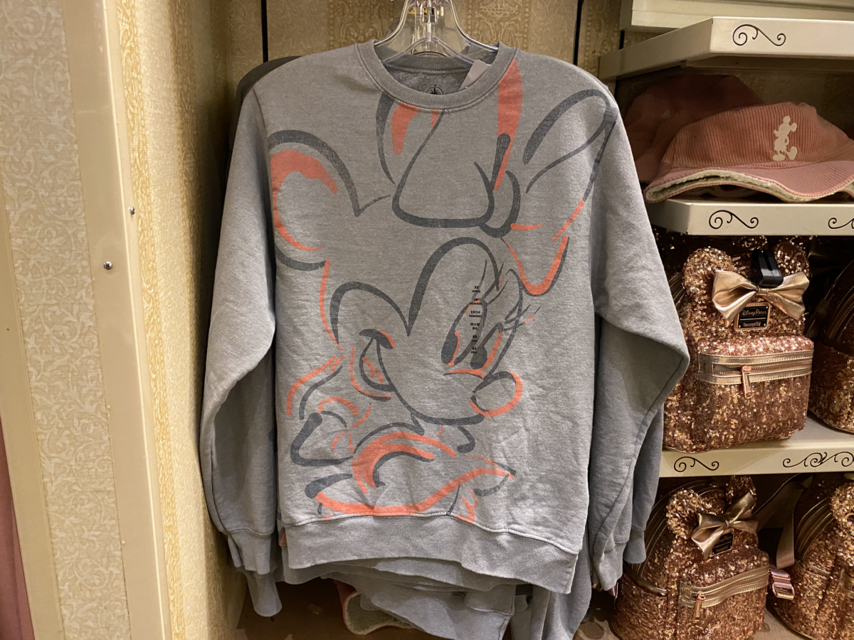 magic-kingdom-photo-report-11-25-211