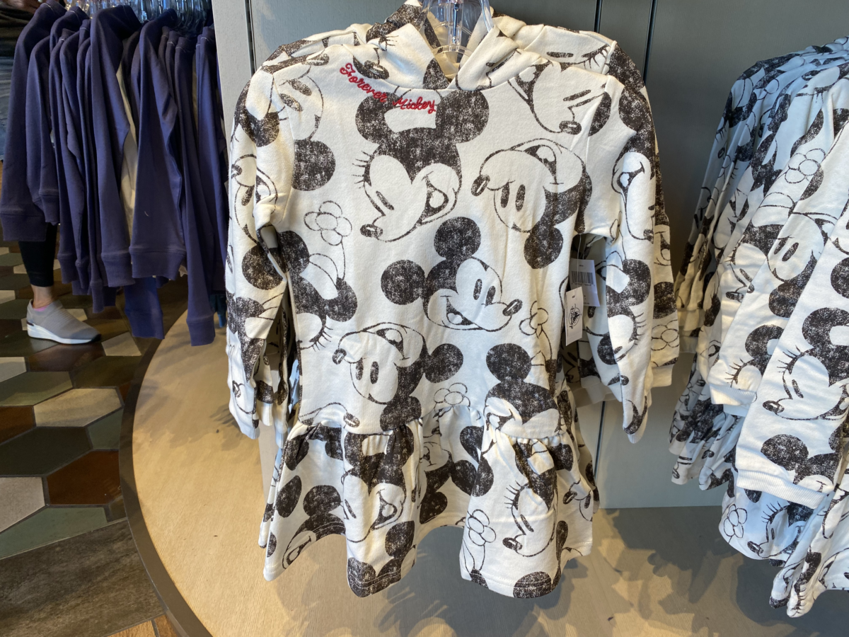 magic-kingdom-photo-report-11-25-2110