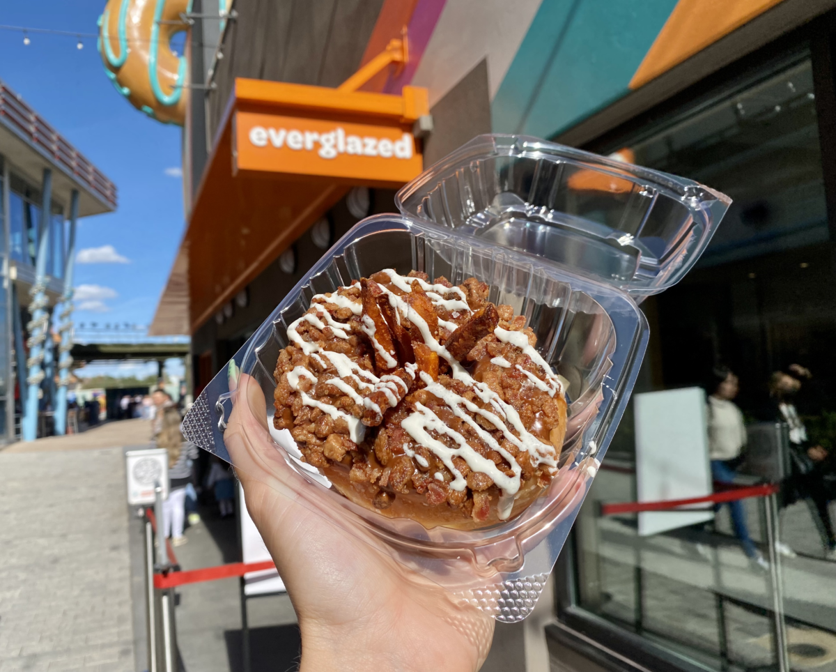 magic-kingdom-photo-report-11-25-2114