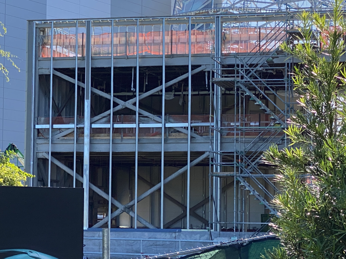 magic-kingdom-photo-report-11-25-216