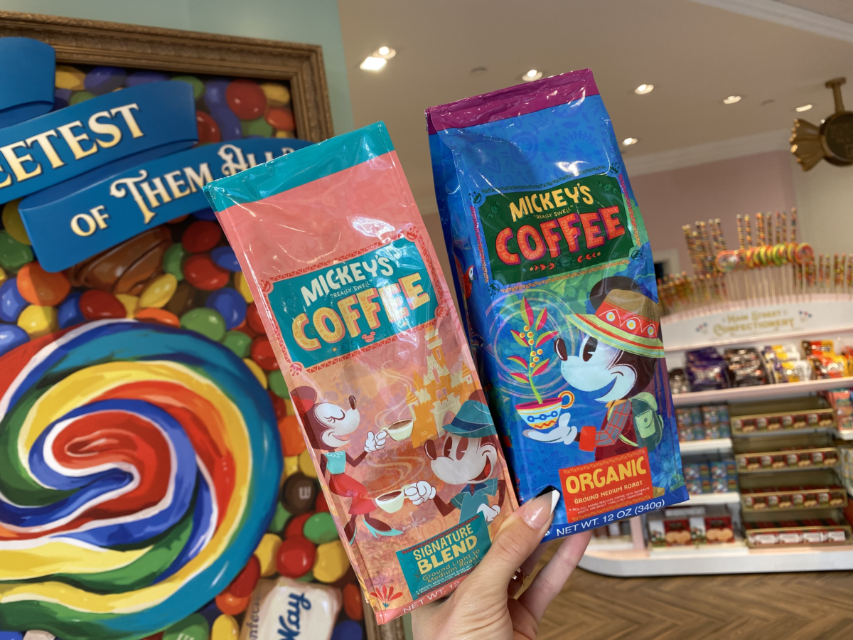 magic-kingdom-photo-report-11-3-21-13