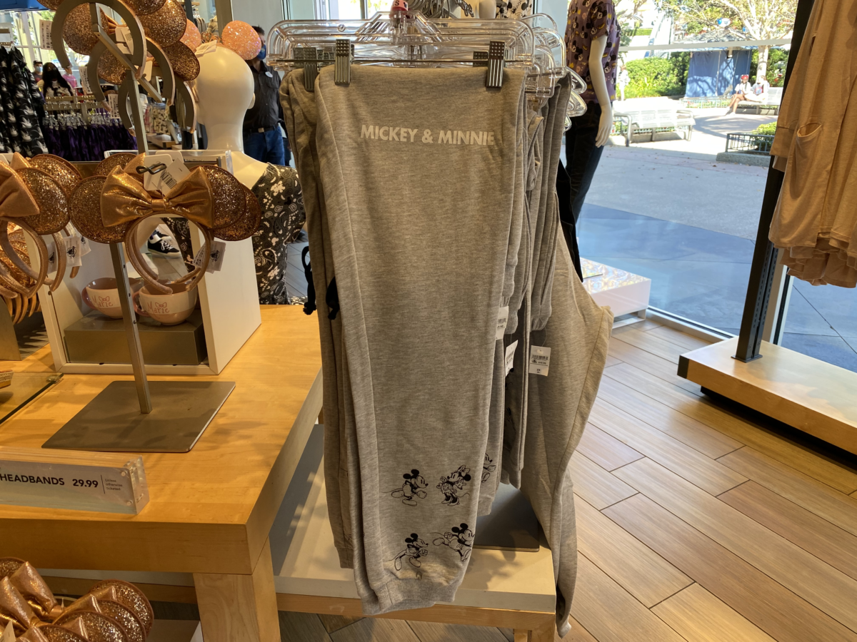 magic-kingdom-photo-report-11-3-21-33