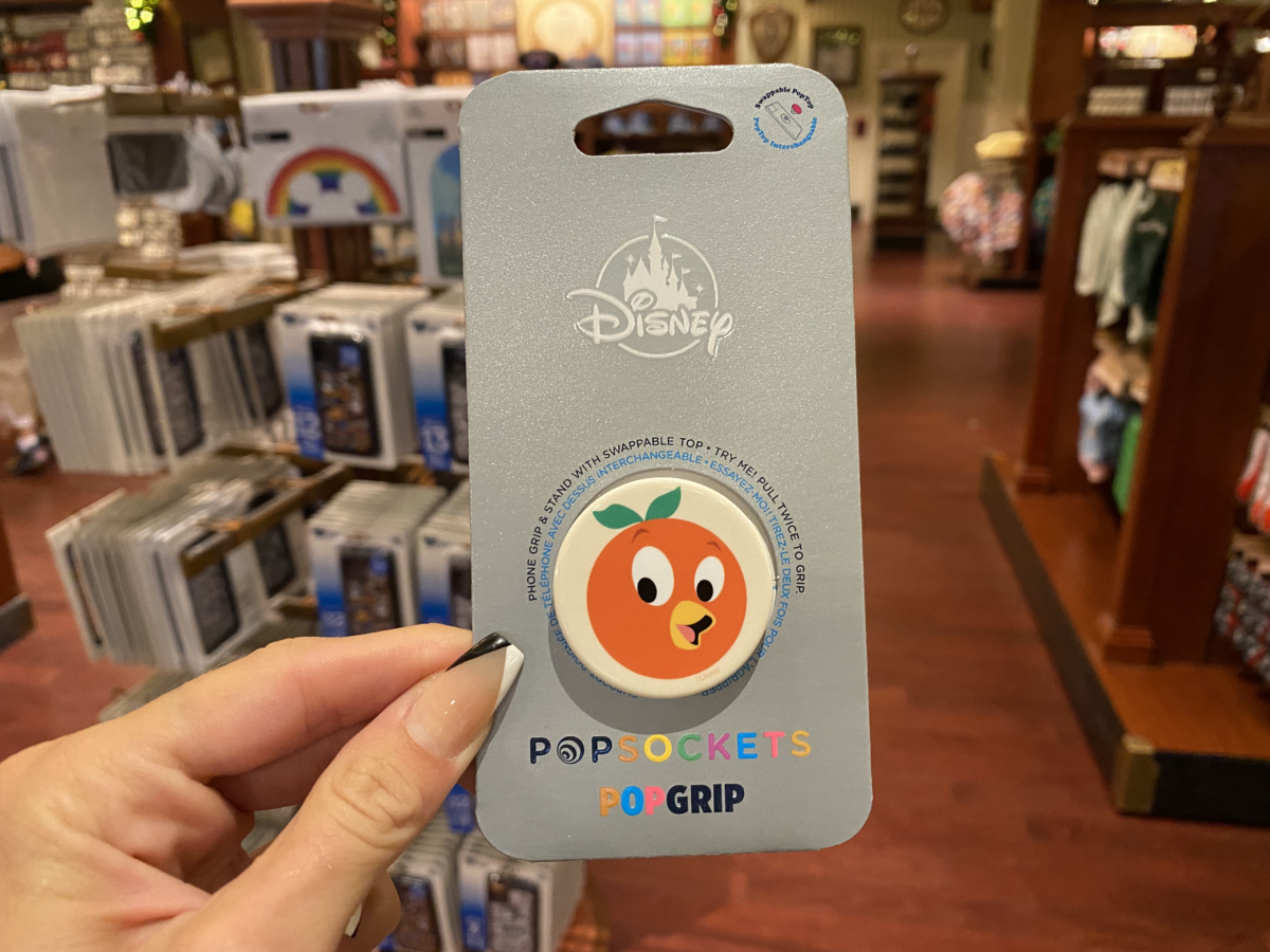 magic-kingdom-photo-report-11-18-21-3