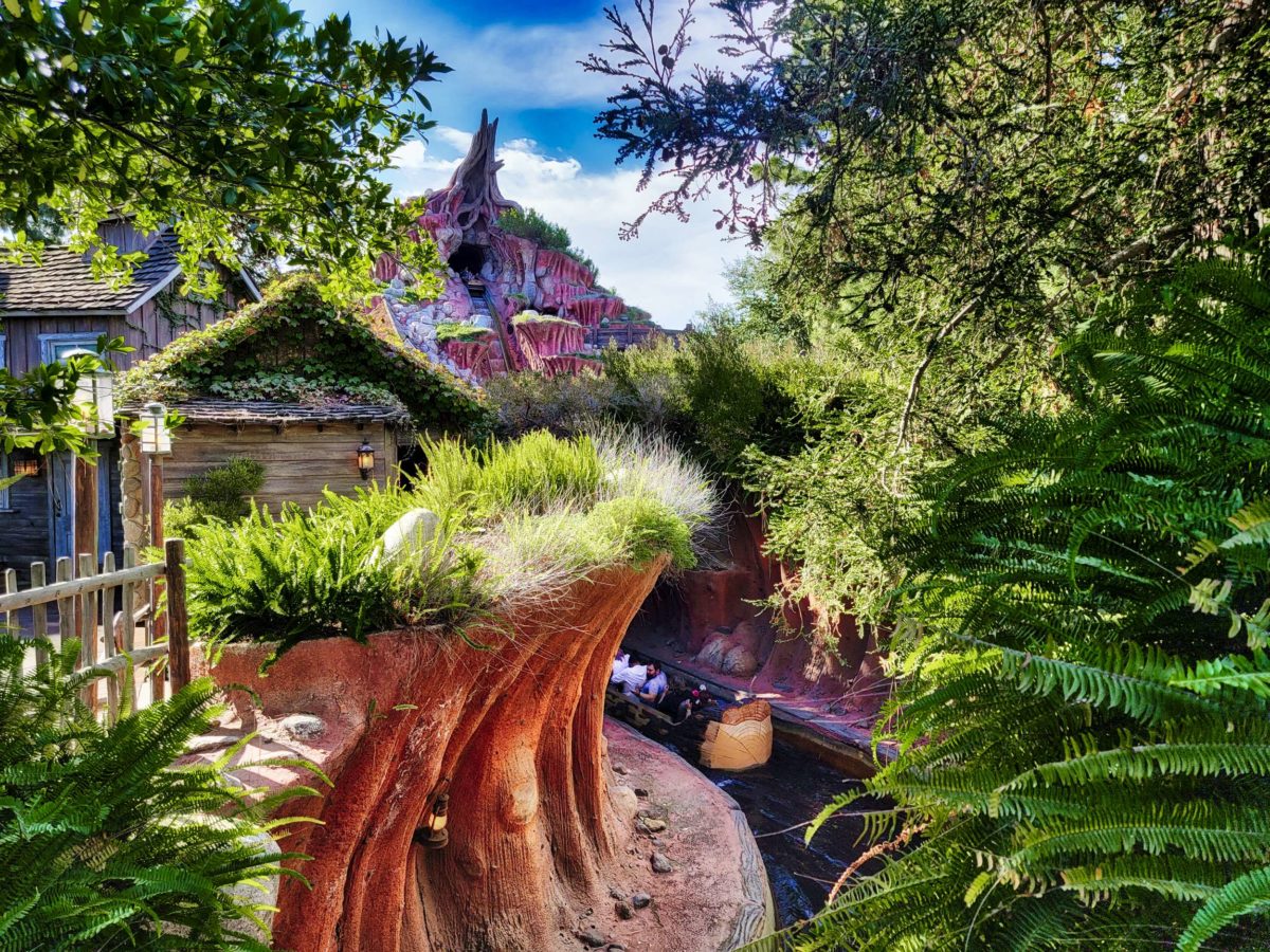 splash-mountain-disneyland-2
