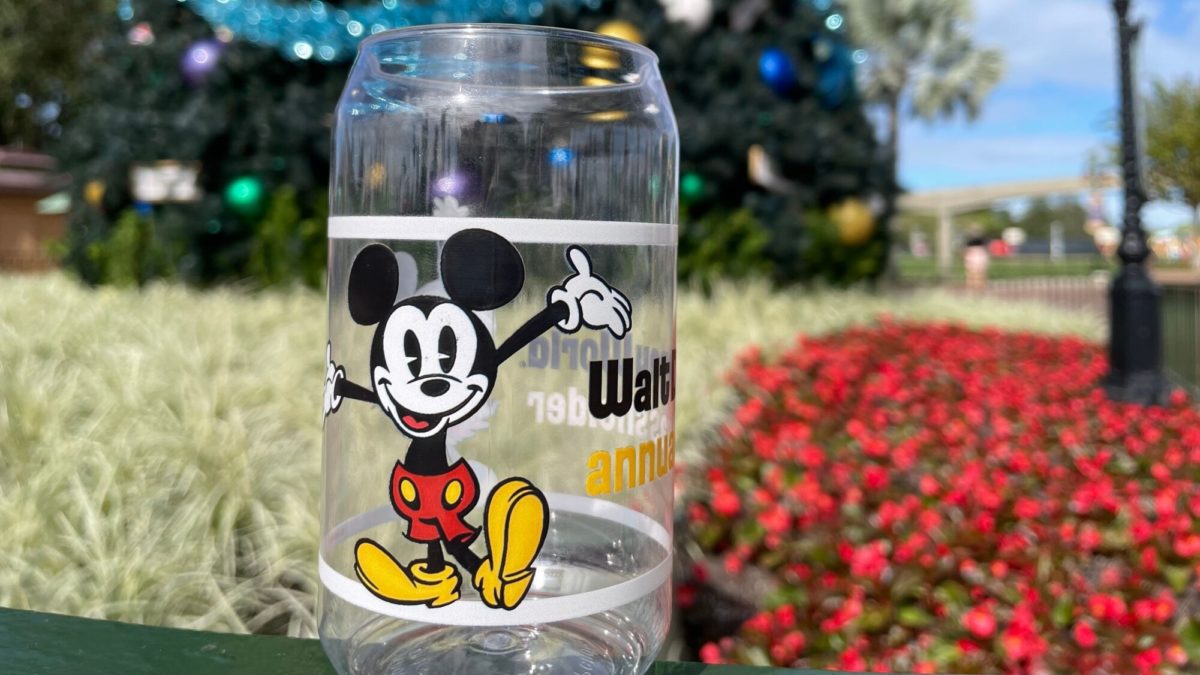 annual-passholder-cup-donut-box-epcot-international-festival-of-the-holidays