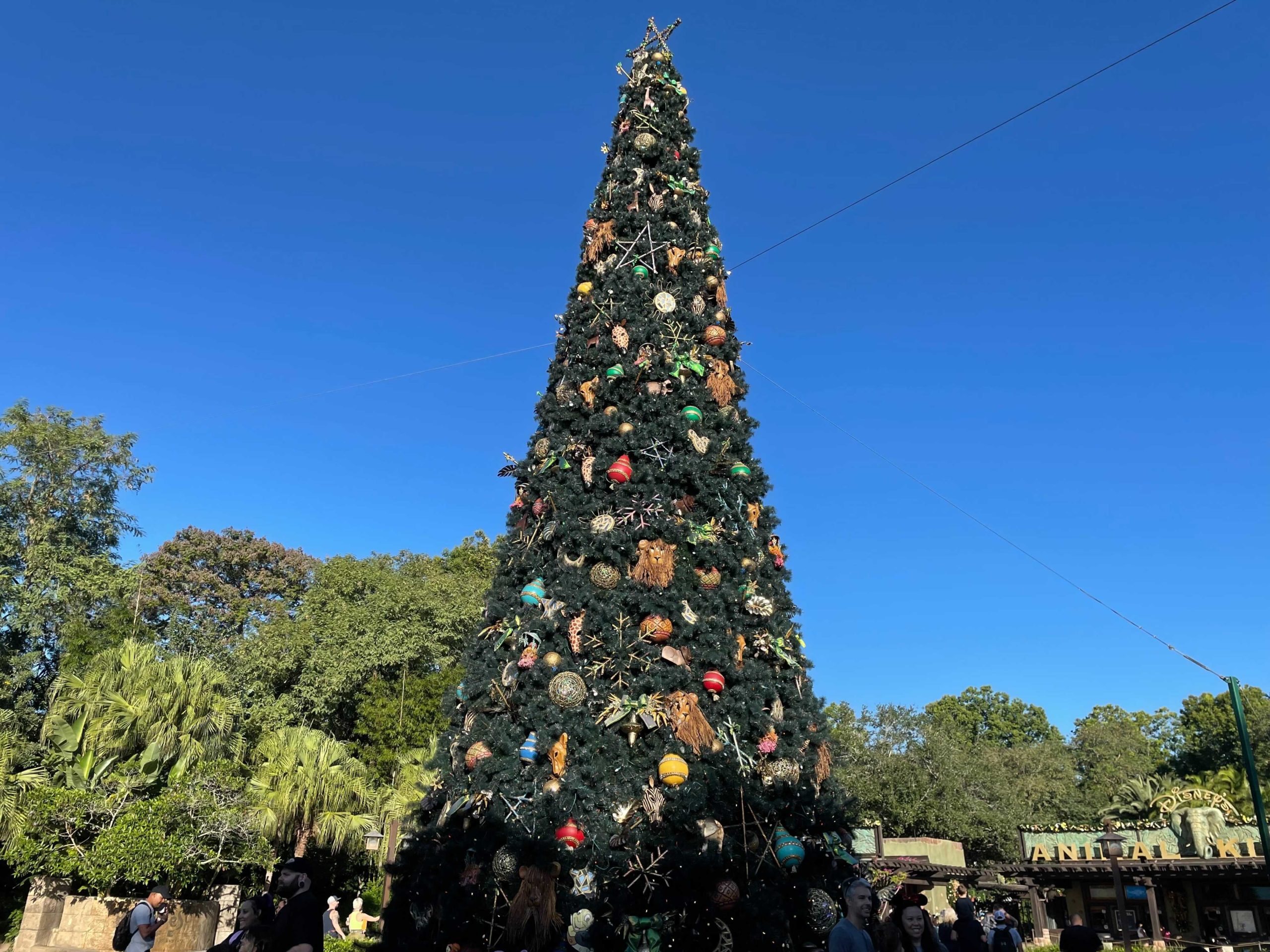 dak-entrance-christmas-tree-1