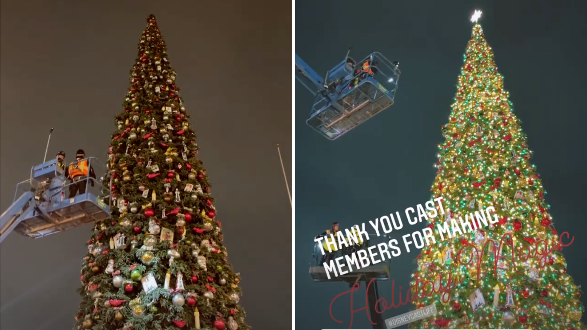 disneyland-christmas-tree