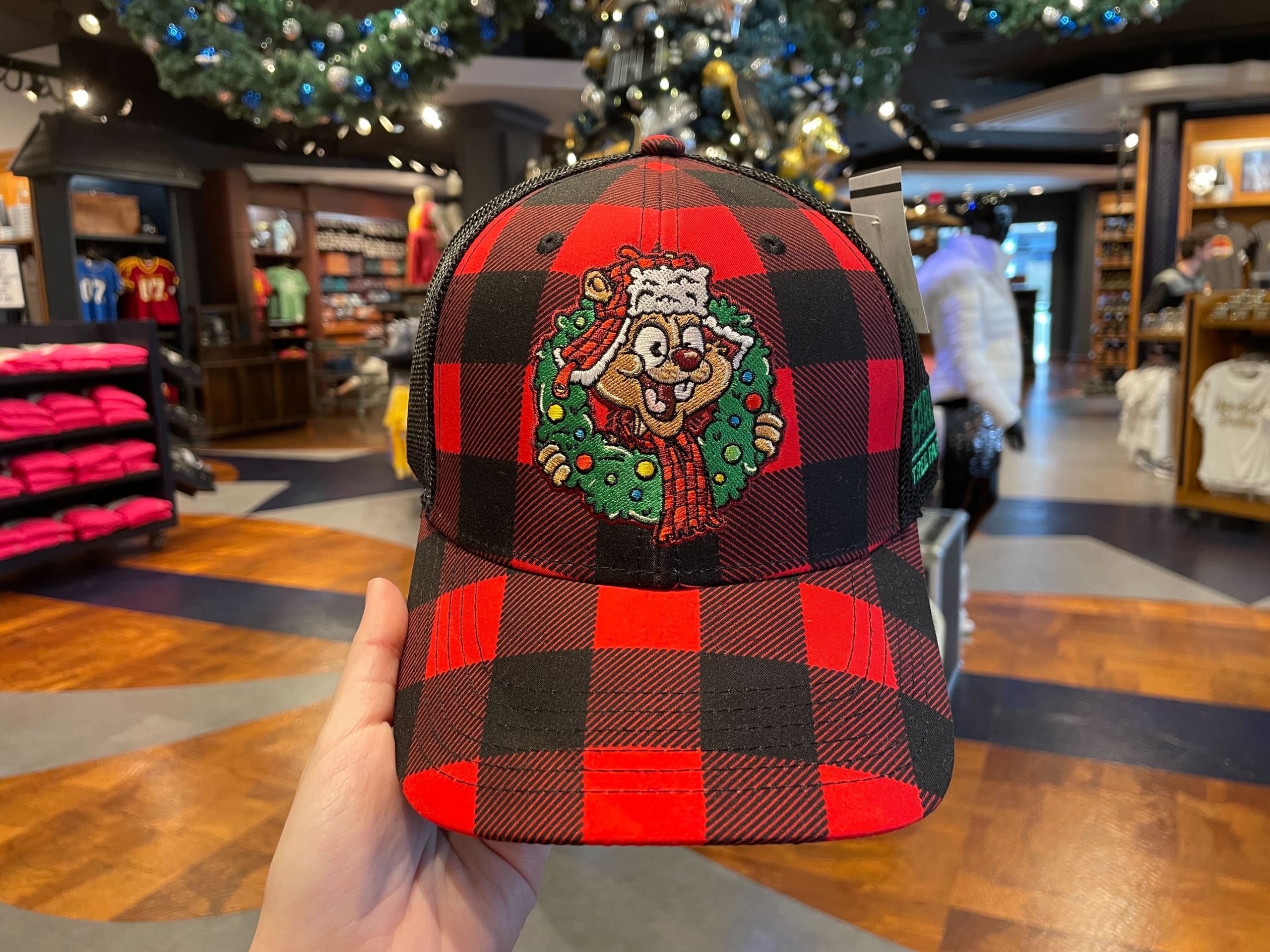 earl-the-squirrel-hat-0-6940776