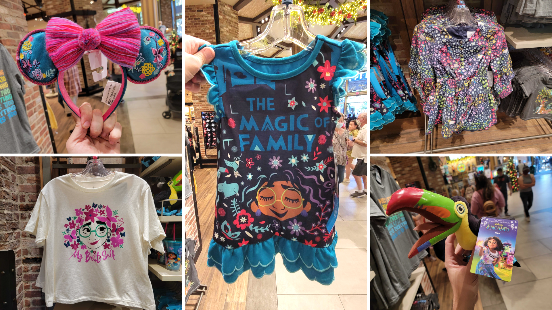 encanto-merch-collage