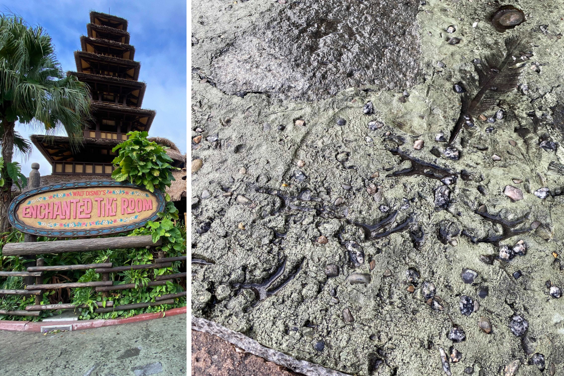 enchanted-tiki-room-bird-footprints-feathers-pavement-collage