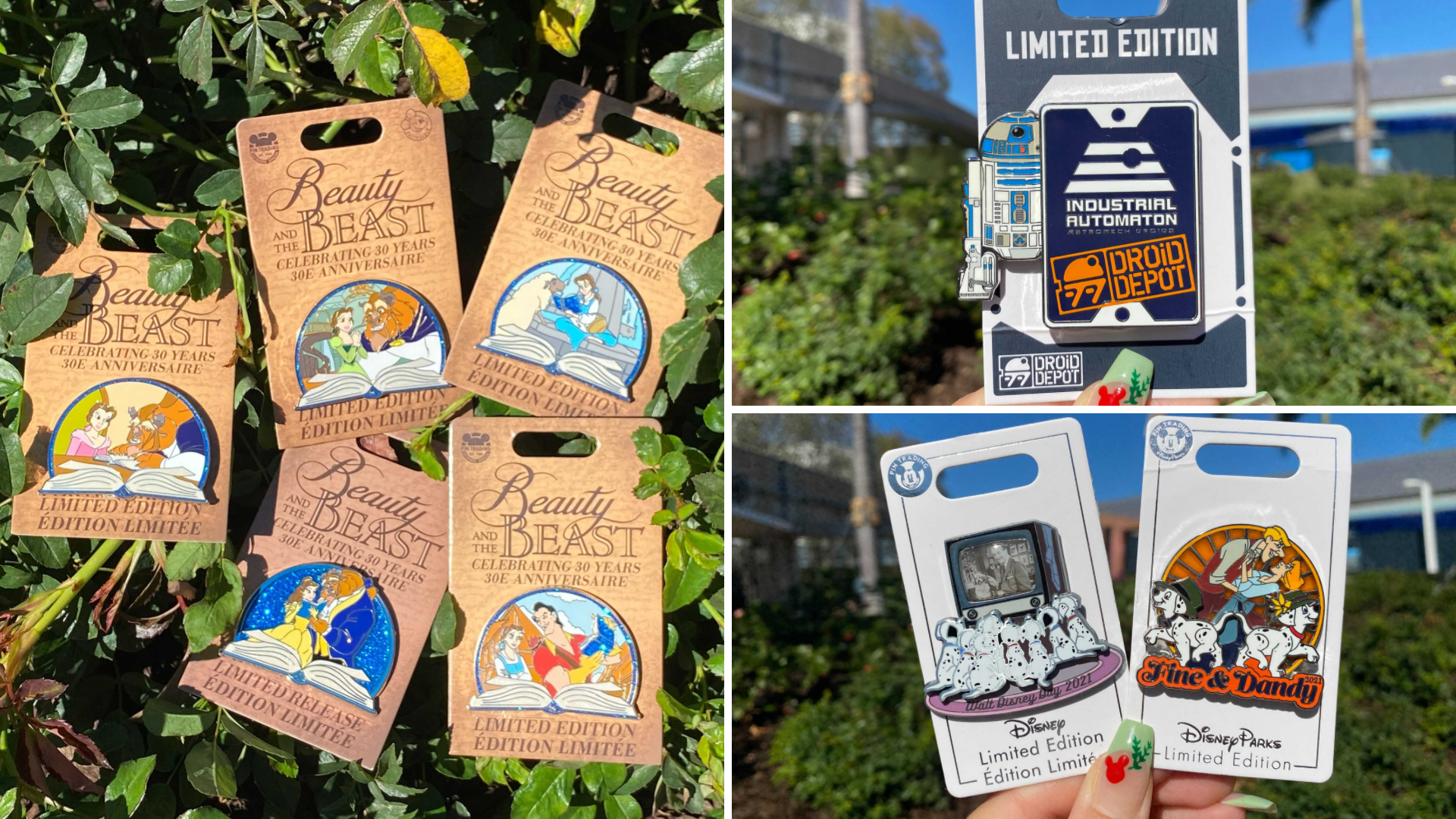 limited-pins-collage