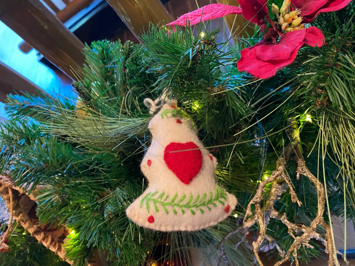 wilderness-lodge-christmas-30-7567163