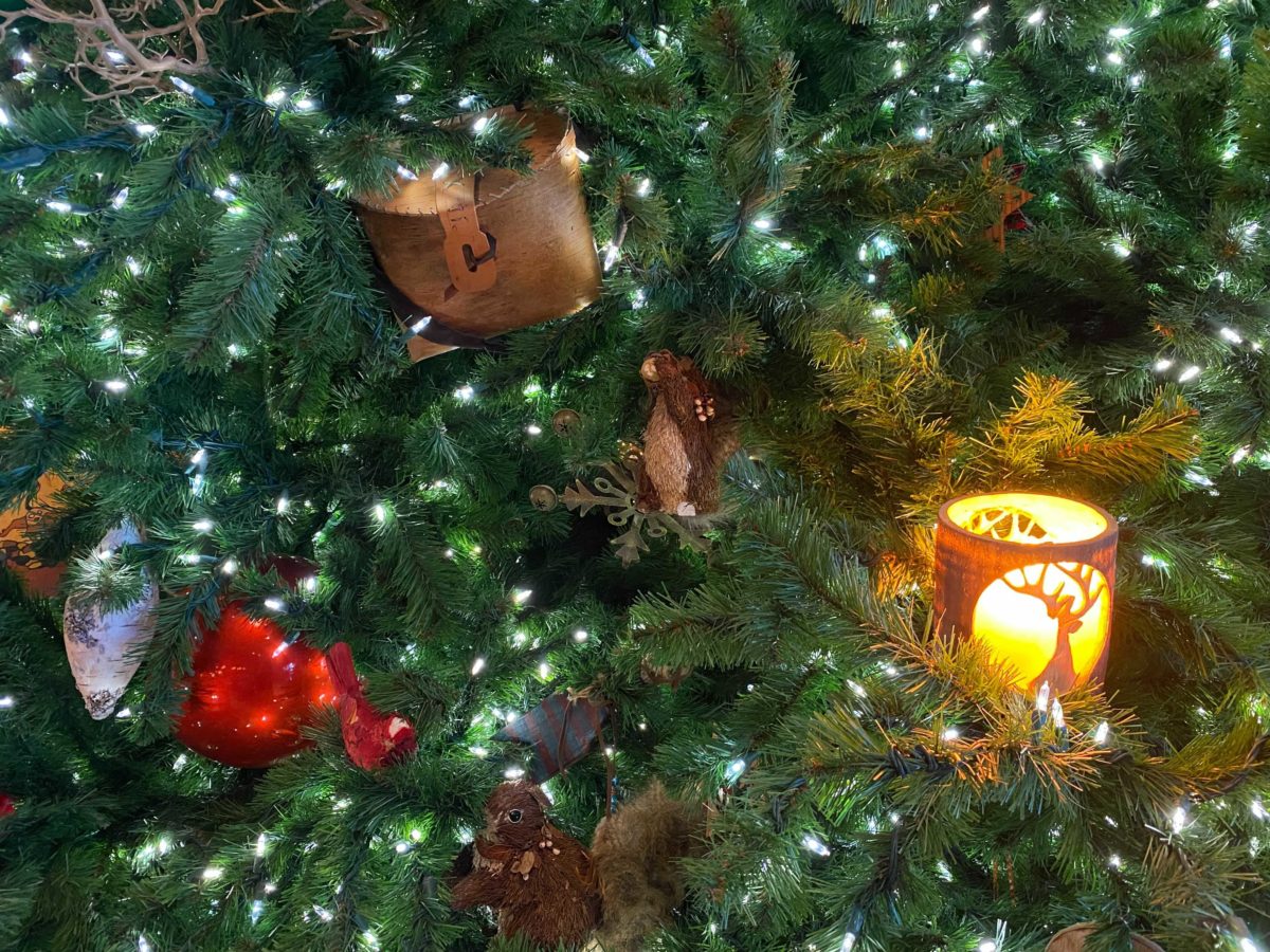 wilderness-lodge-christmas-66-5348510