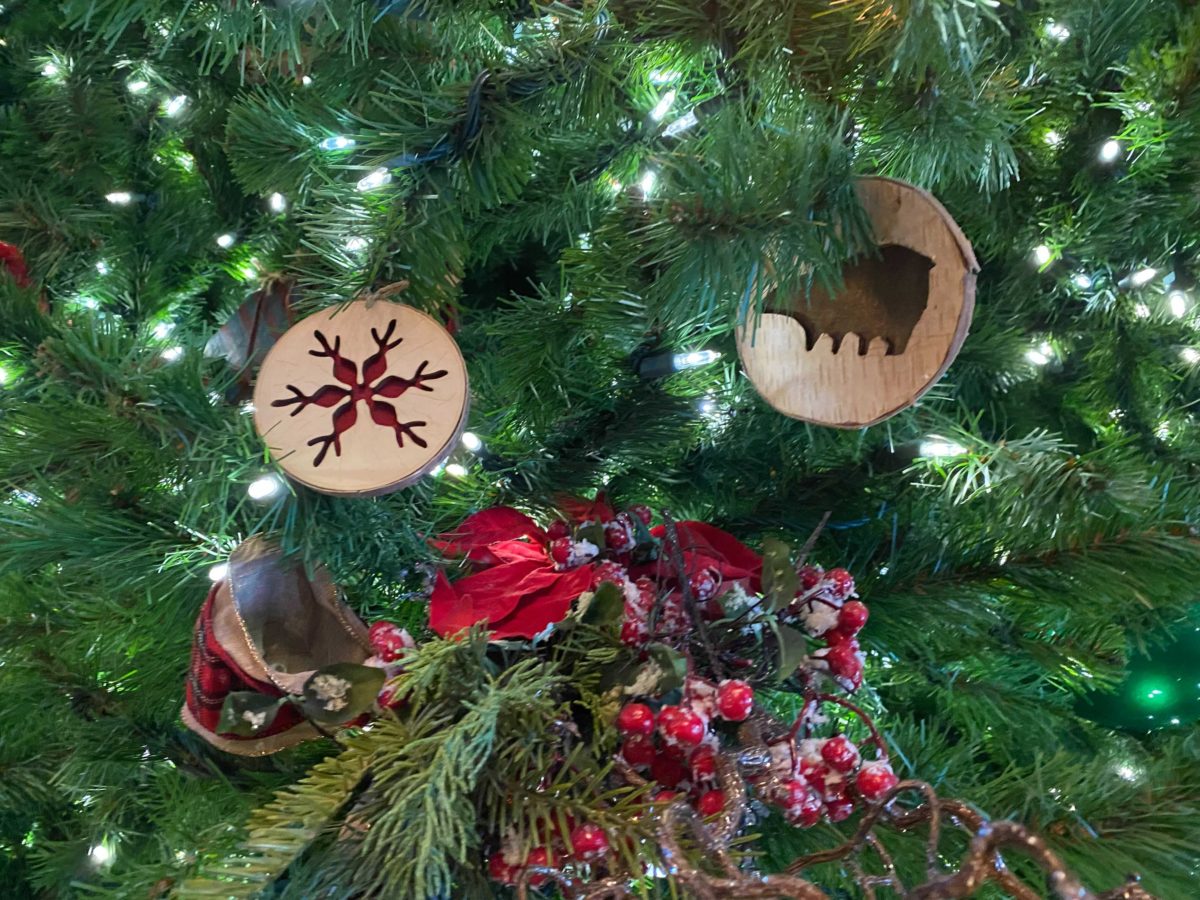 wilderness-lodge-christmas-67-1232852