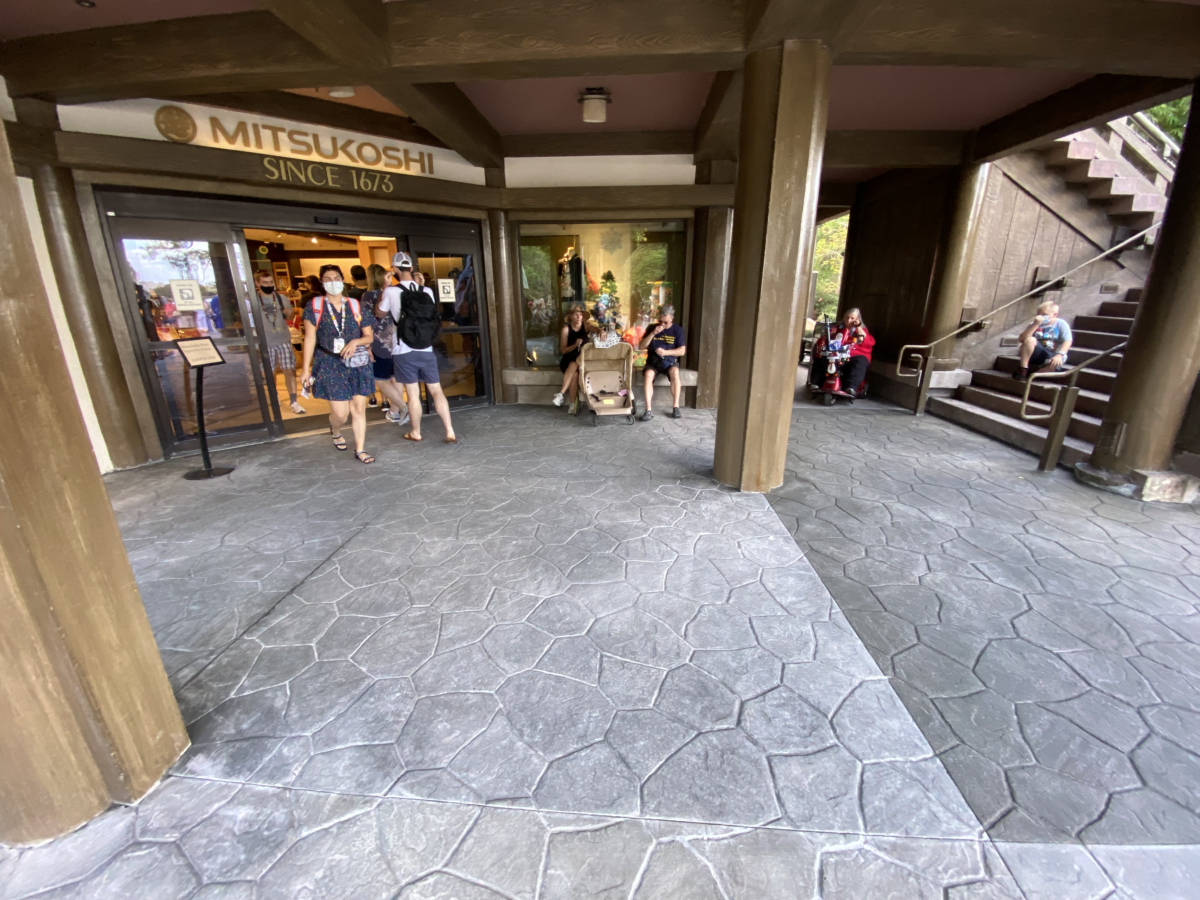 animal-kingdom-epcot-photo-report-12-16-21-26