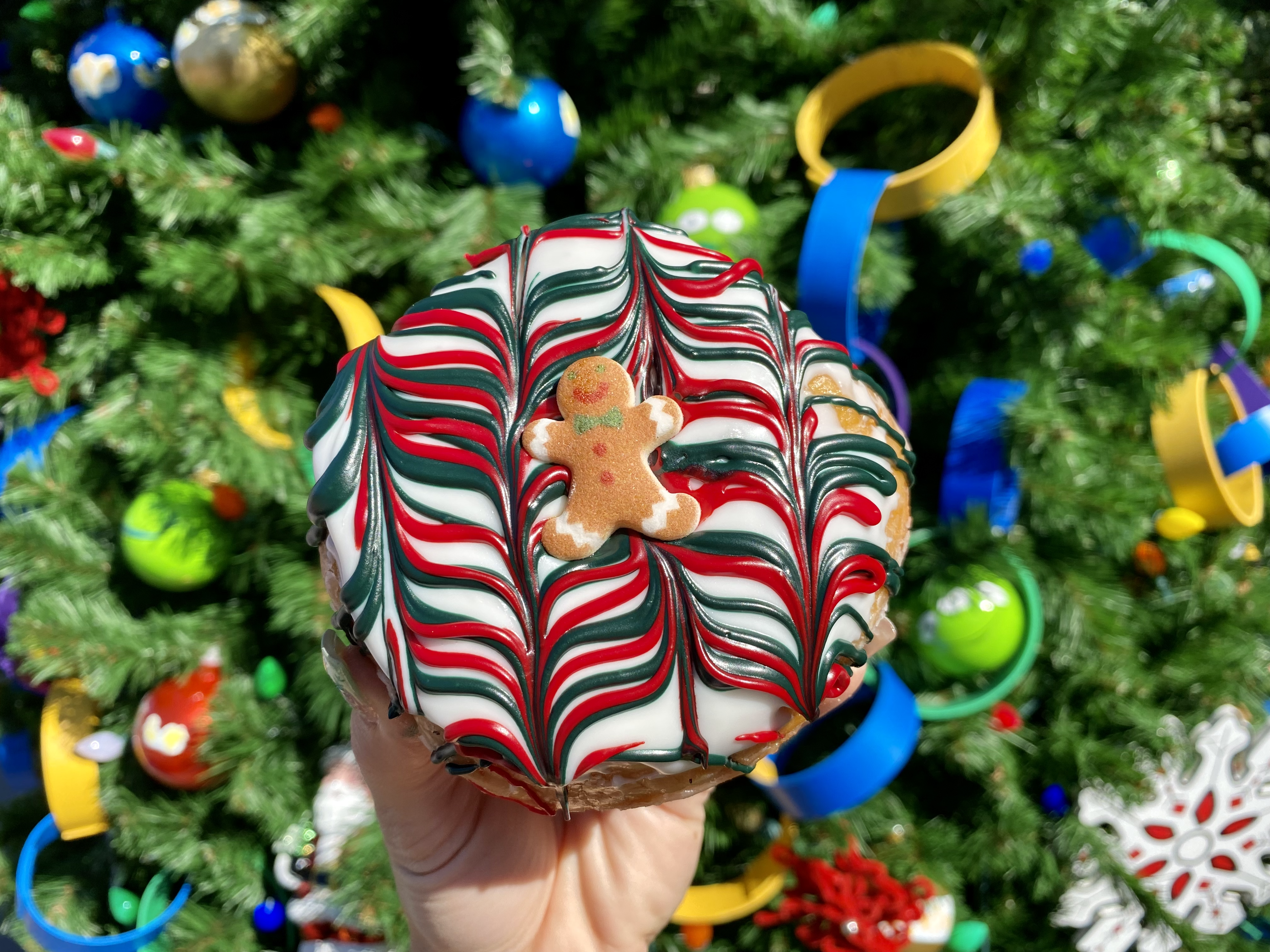 animal-kingdom-photo-report-12-1-21-1