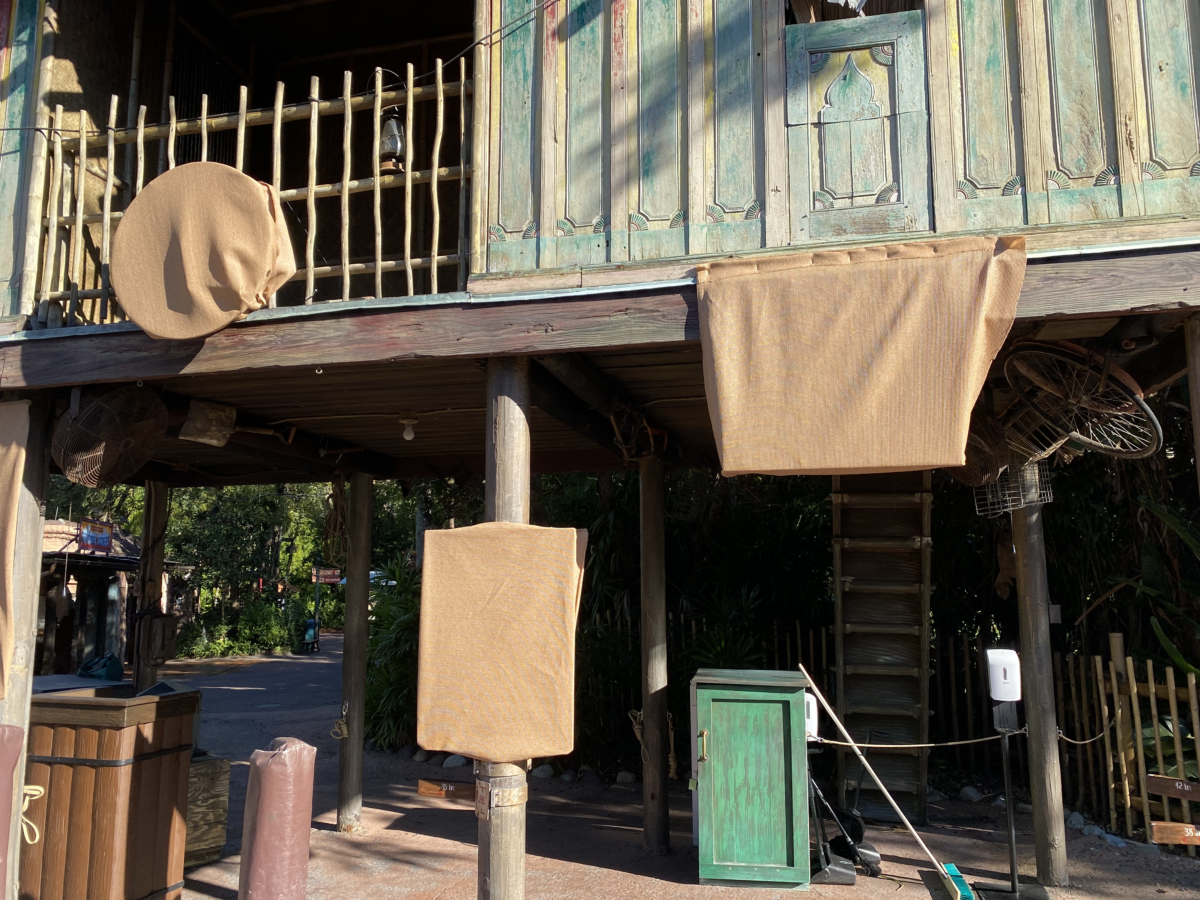 animal-kingdom-photo-report-12-1-21-7