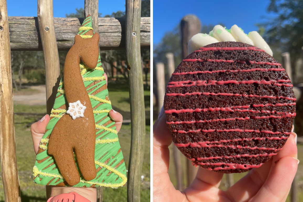 copy-of-wdwnt-2-up-6