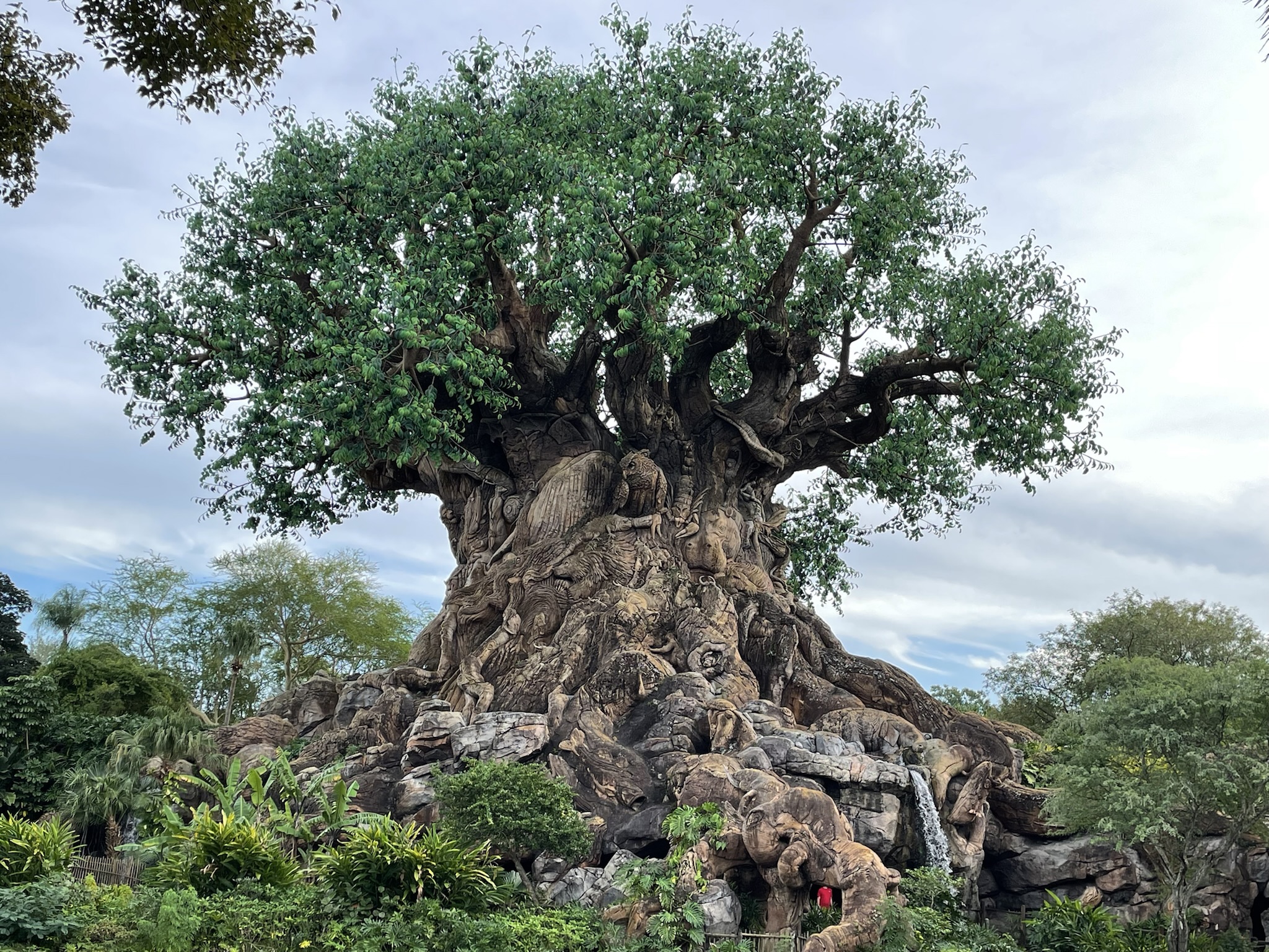 HS photo report 1218202136