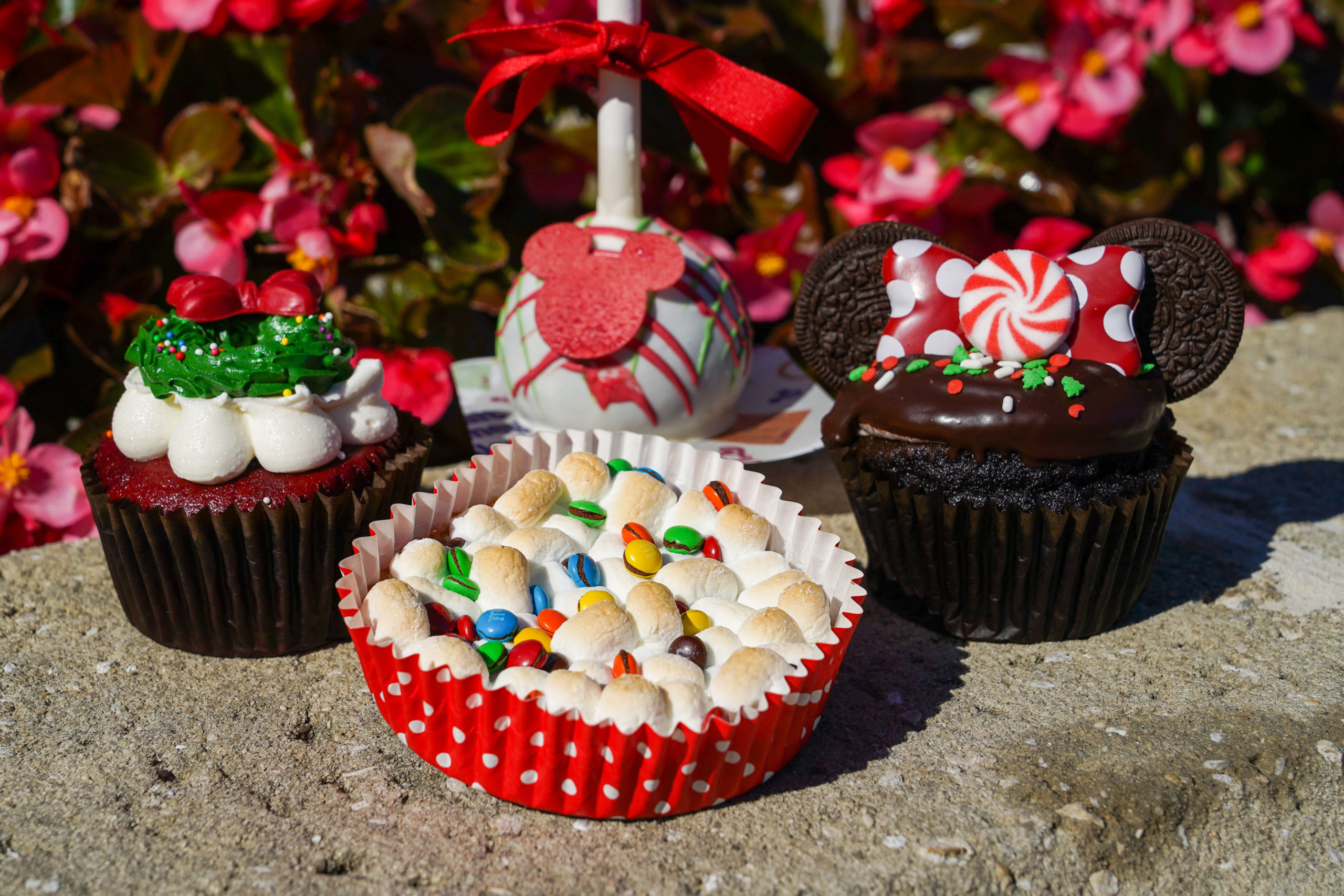 grand-floridian-gasparilla-holiday-treats-9-1910181